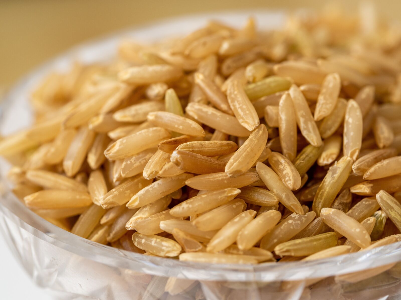 Olympus OM-D E-M10 III sample photo. Rice, natural, brown photography