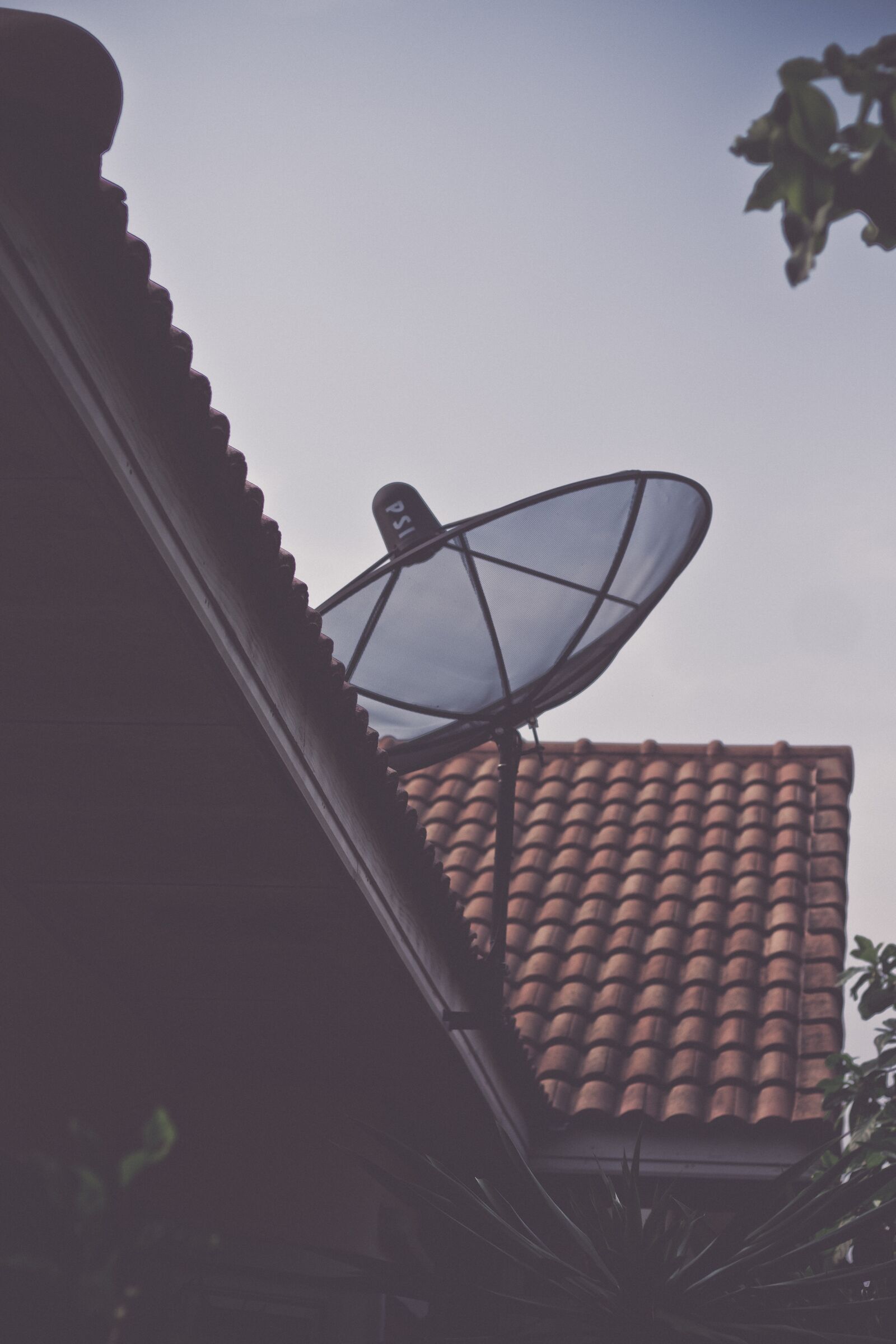 Canon EOS 700D (EOS Rebel T5i / EOS Kiss X7i) + Canon EF 50mm F1.8 STM sample photo. Satellite dish, roof, television photography