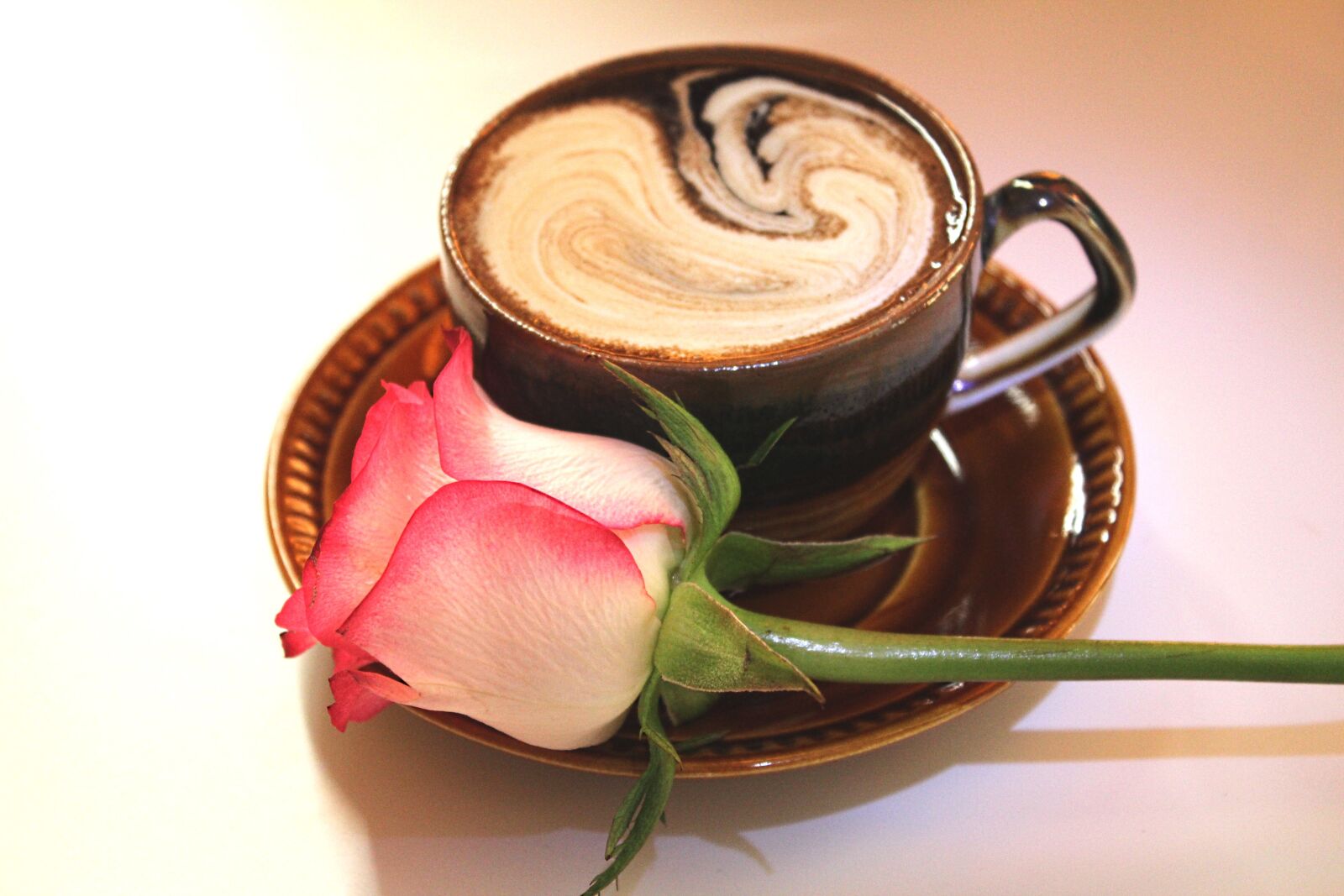 Canon EOS 600D (Rebel EOS T3i / EOS Kiss X5) sample photo. Rose, cup of coffee photography