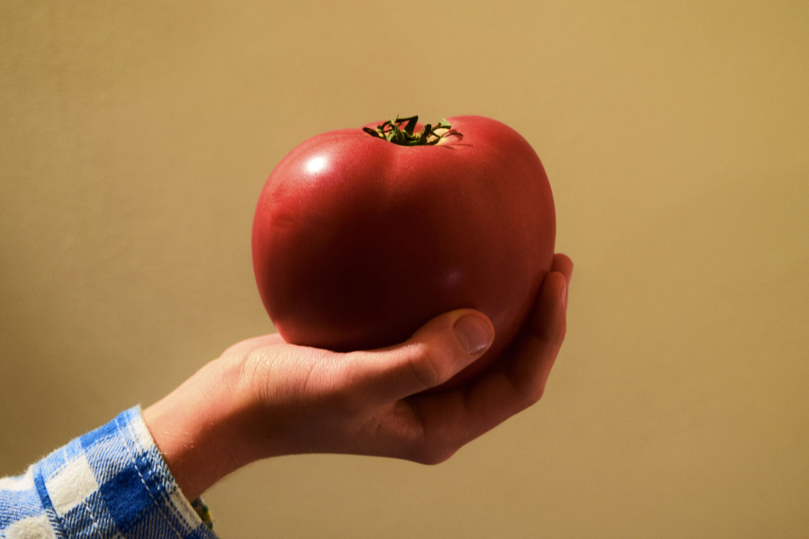 Nikon D3300 sample photo. Autumn, tomato photography