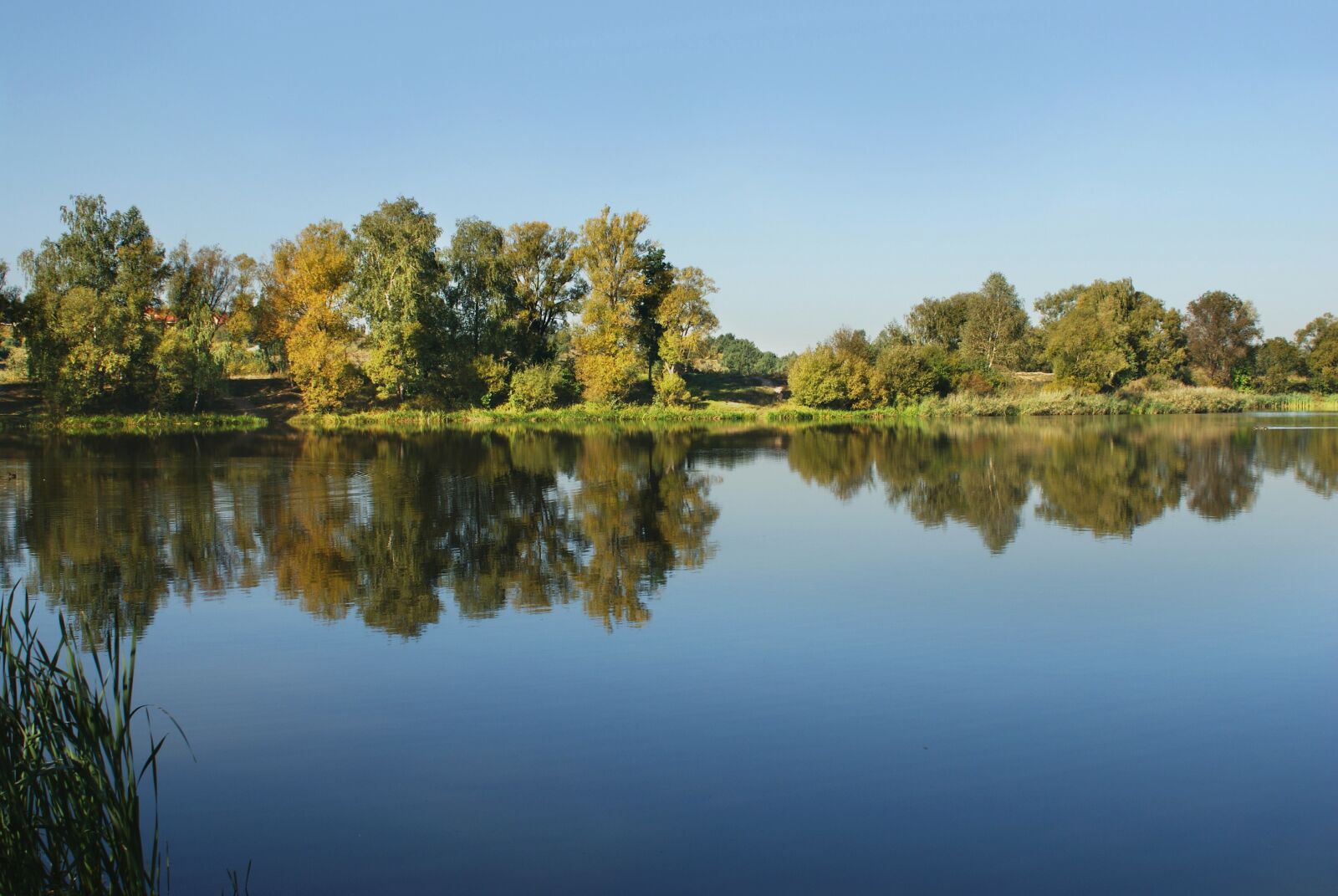 Sony Alpha DSLR-A200 sample photo. Author, skibka, photo photography
