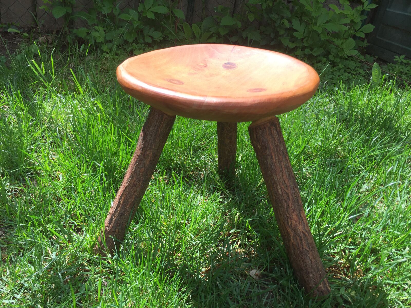 Apple iPhone 6 sample photo. Stool, podium, garden photography
