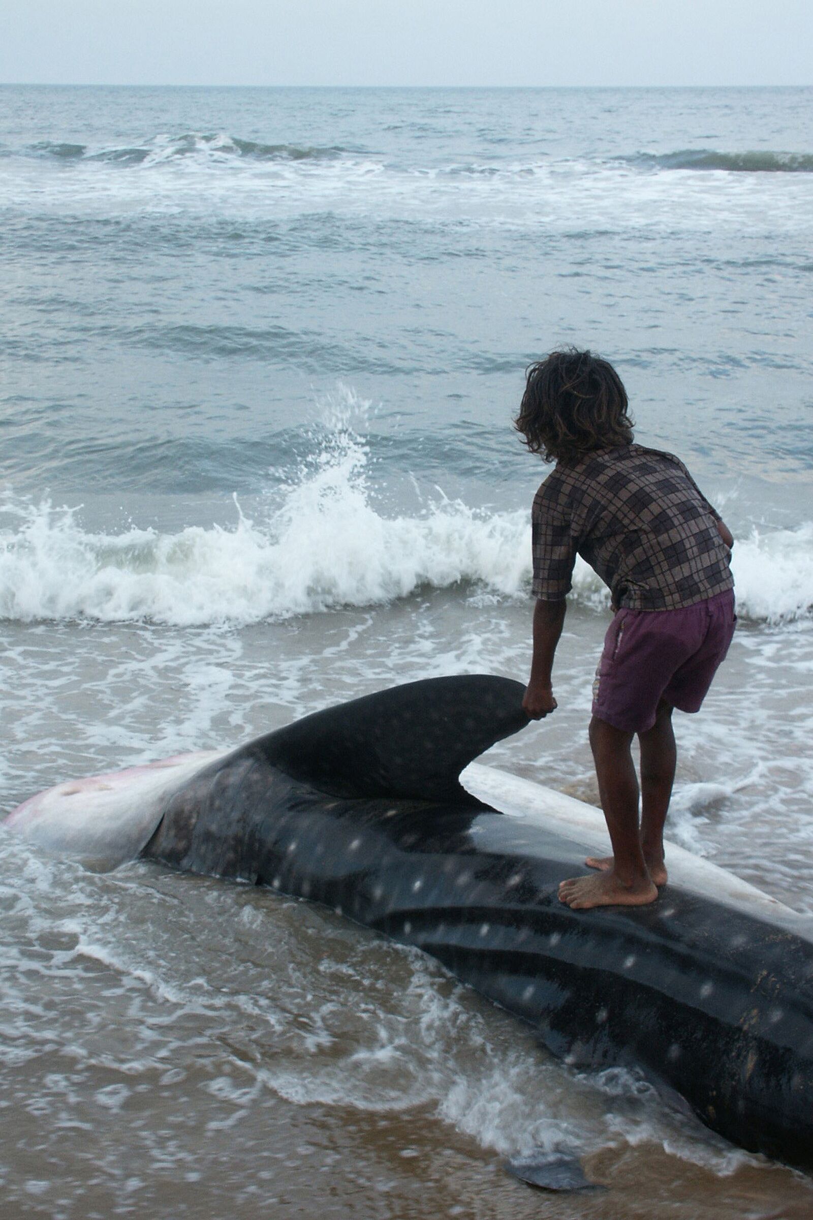 KONICA MINOLTA DiMAGE 7 sample photo. India, sea, ocean photography