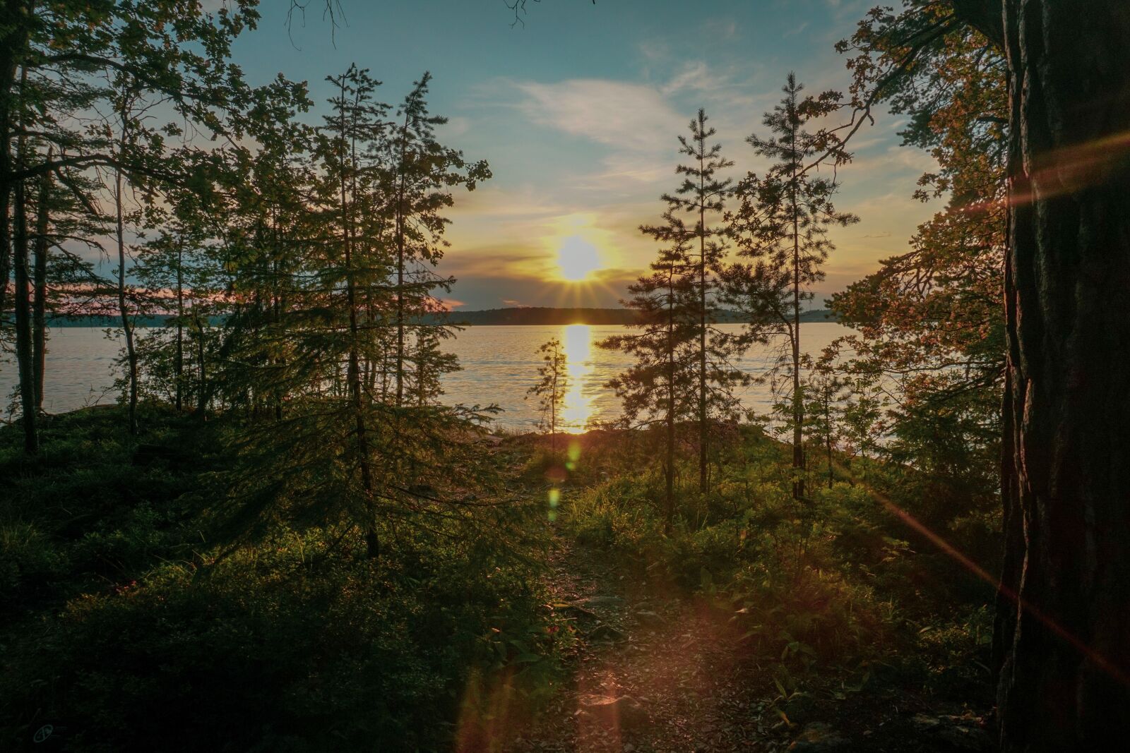 Sony a6300 sample photo. Sunset, lake, sweden photography