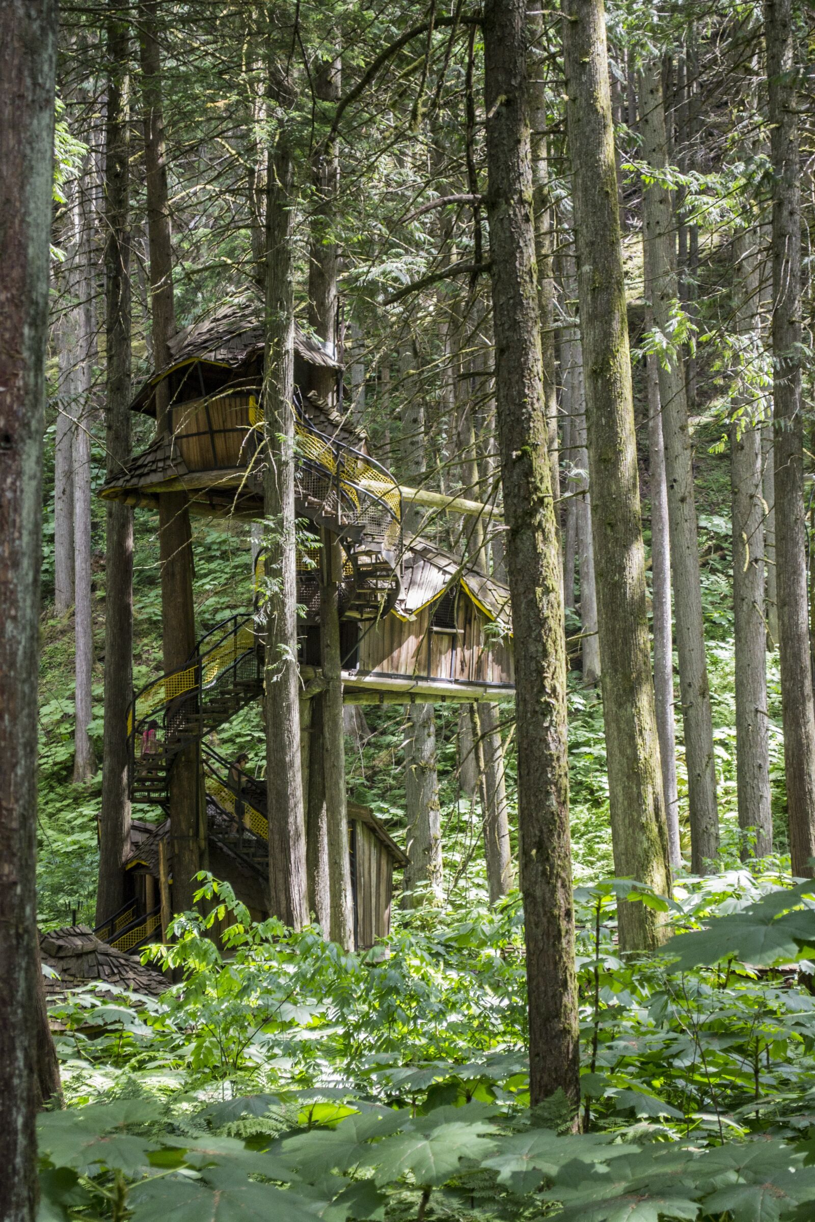 Nikon D3100 sample photo. Tree, house, treehouse photography