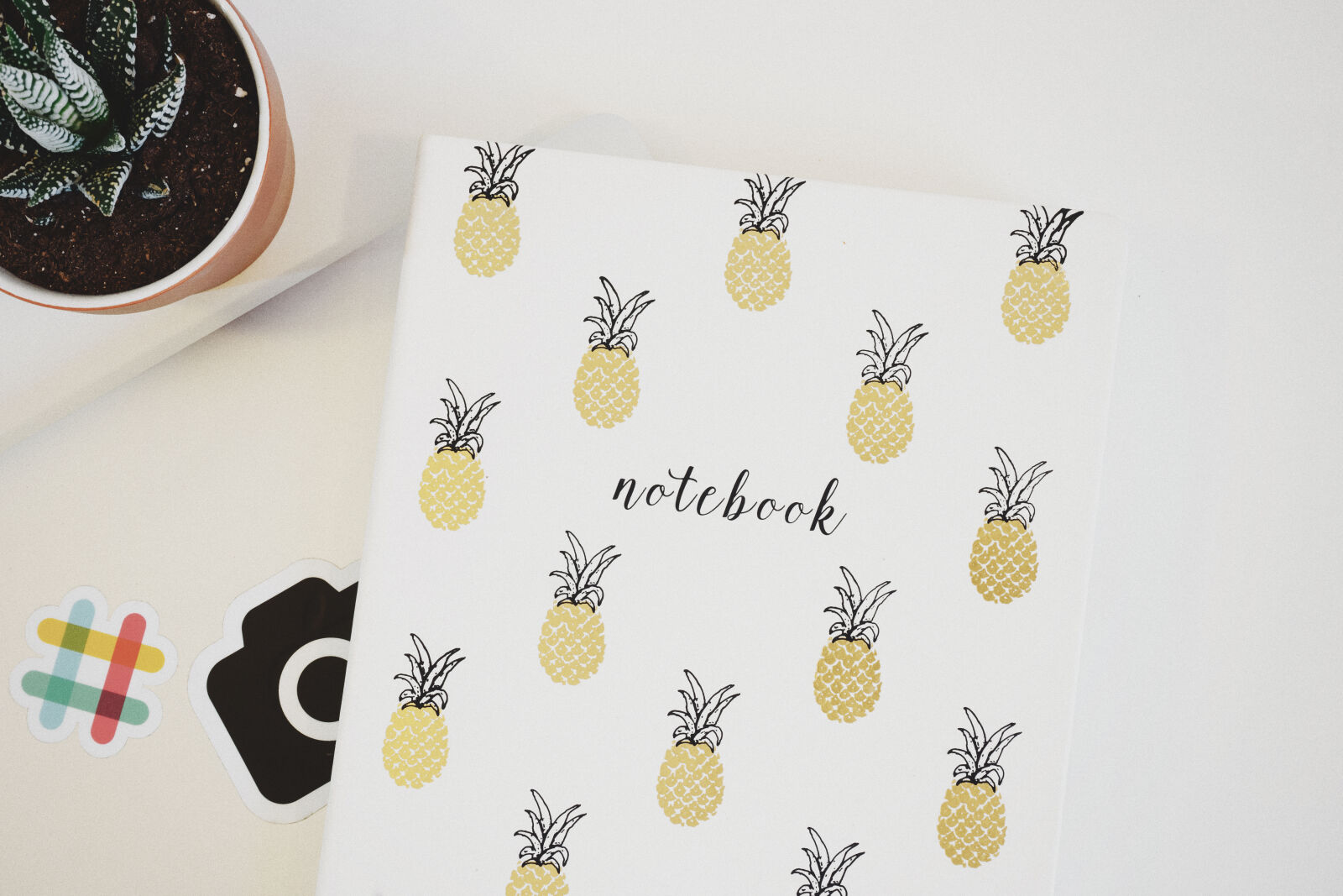 Sony a7 II + Sony FE 28-70mm F3.5-5.6 OSS sample photo. White, pineapple, print, printer photography