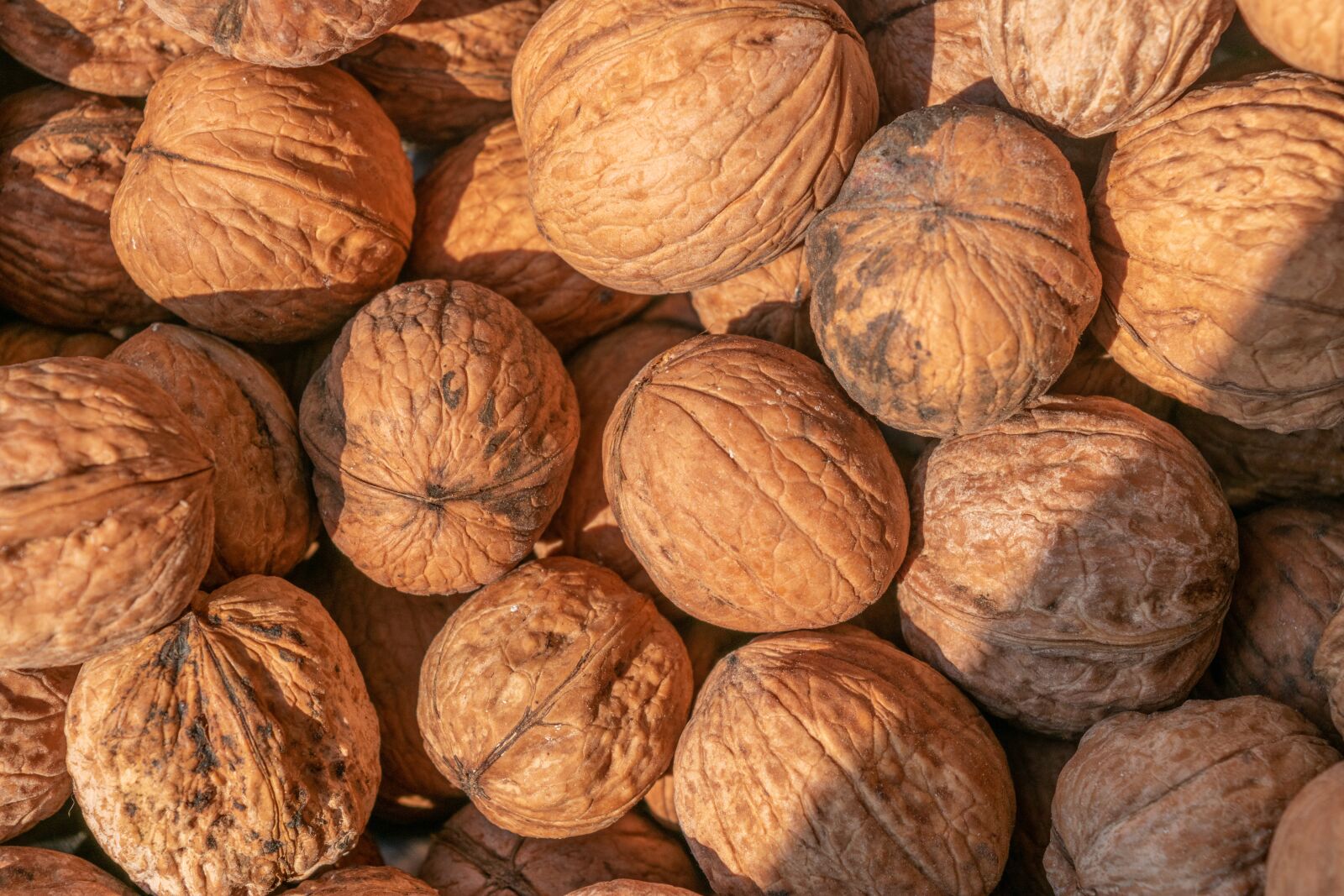 Nikon D5300 sample photo. Brown, food, delicious photography