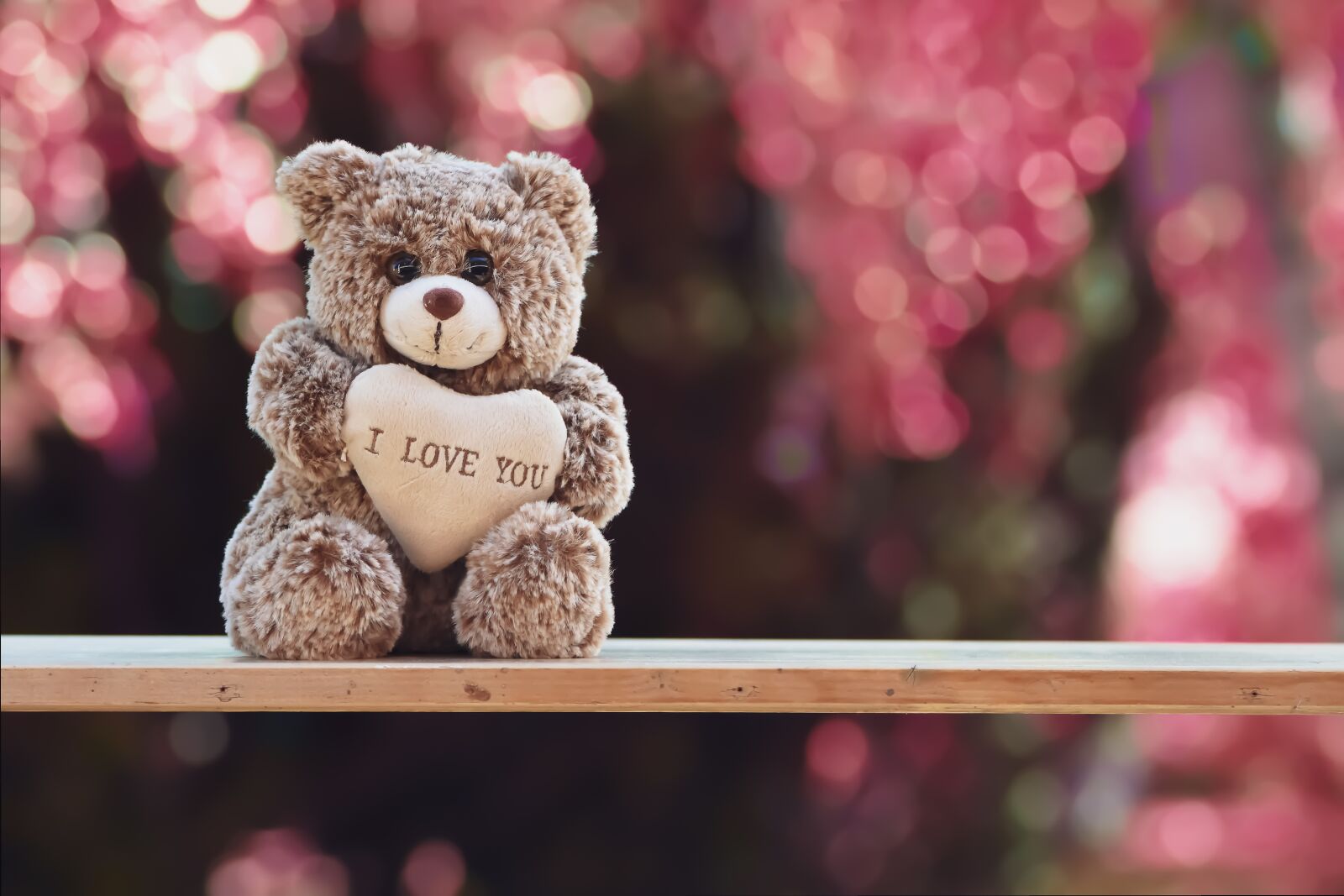 Nikon D7200 sample photo. Teddy, love, romance photography