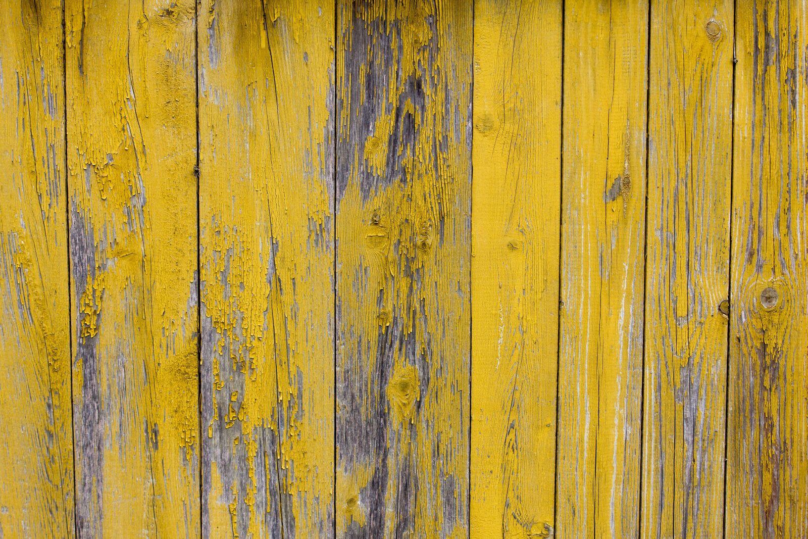 Canon EOS 60D sample photo. Tree, boards, painted photography