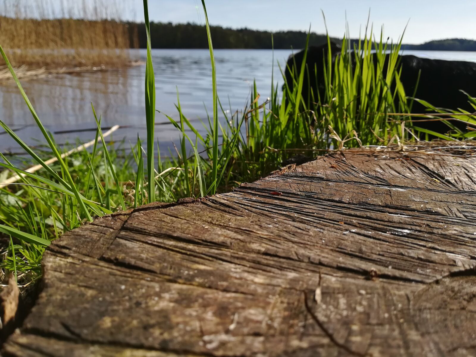 HUAWEI P10 lite sample photo. Monolithic part of the photography