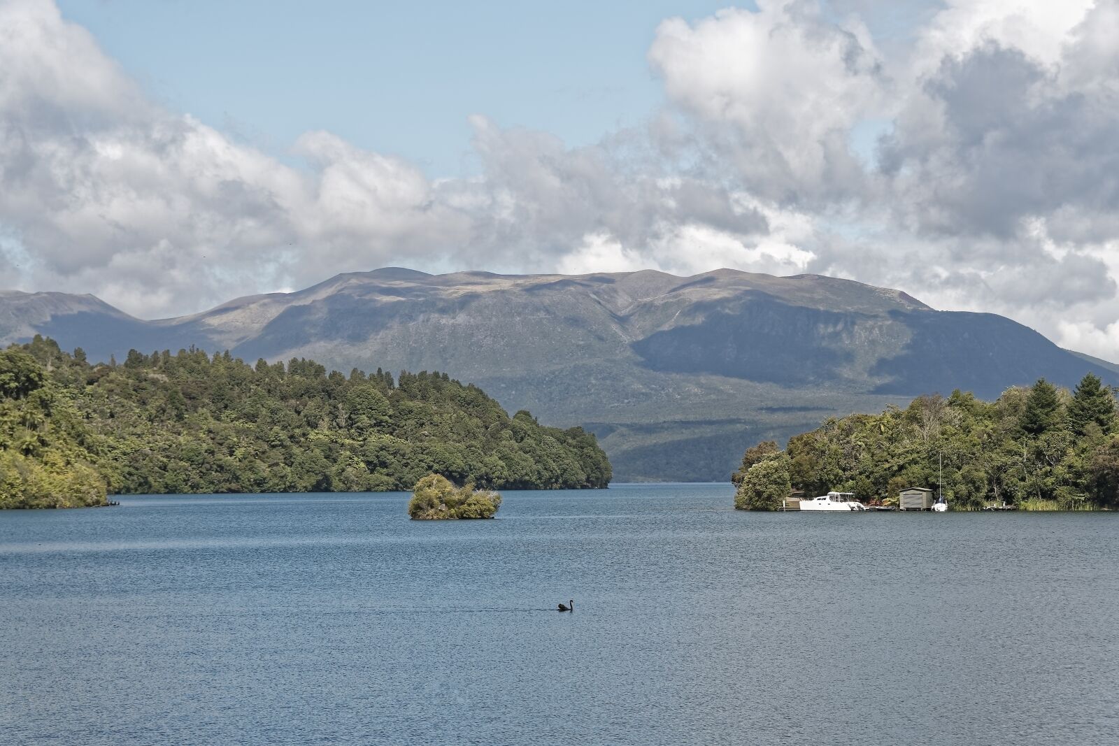 Nikon D500 sample photo. New zealand, lake tarawera photography