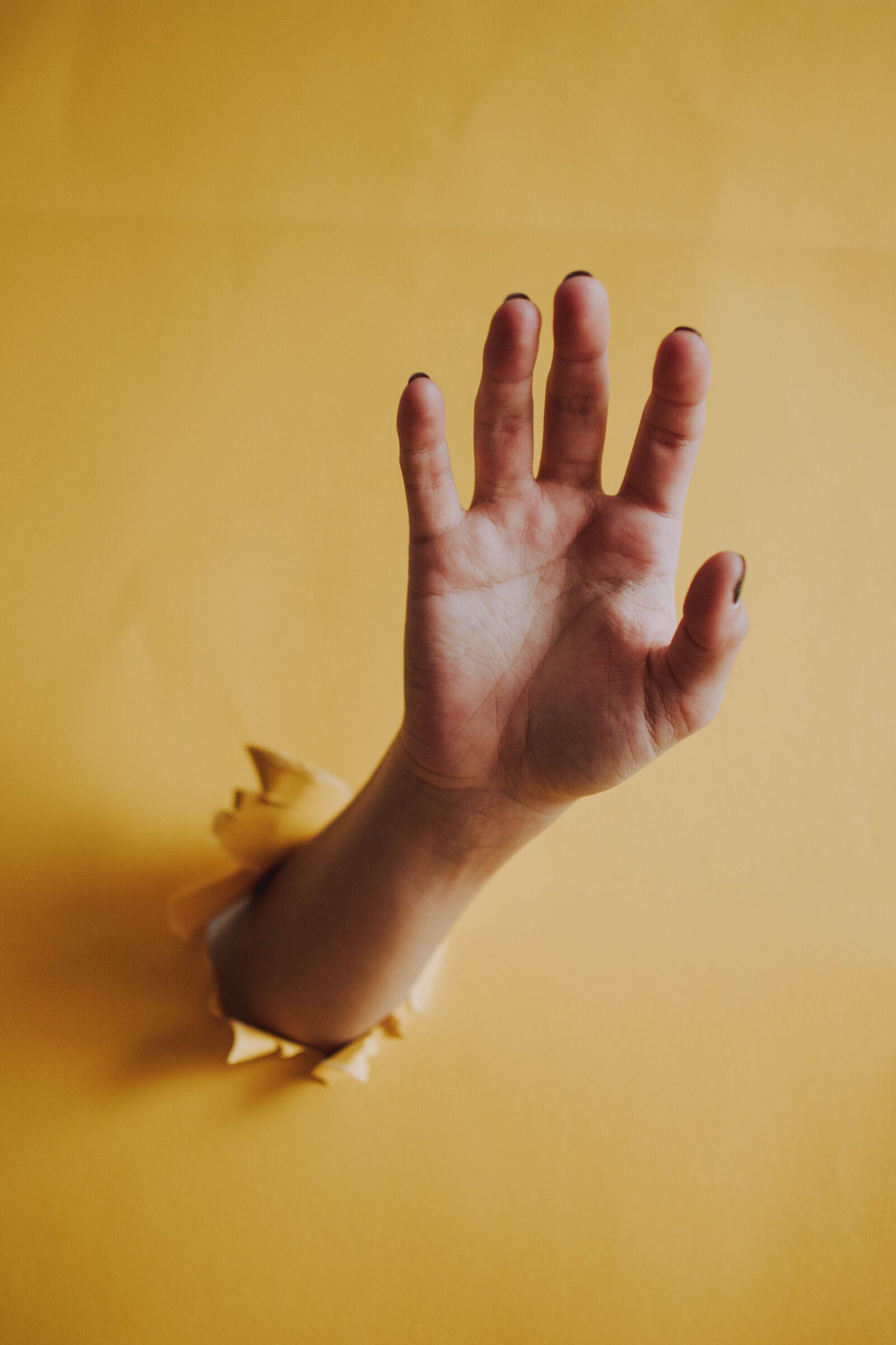 Nikon D5200 sample photo. Hand, yellow, abstract photography