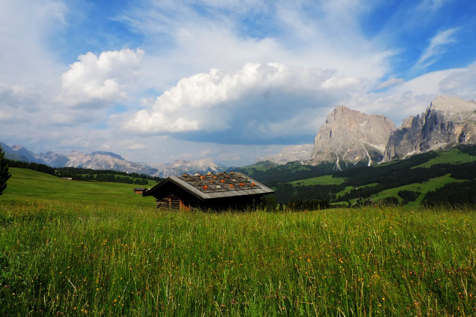 Nikon Coolpix P520 sample photo. Italy, south tyrol, seiser photography