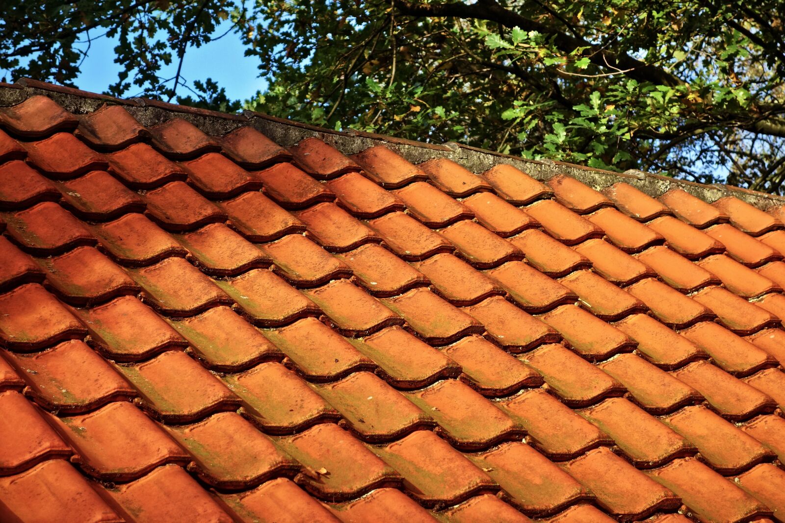 Sony Cyber-shot DSC-RX100 sample photo. Roof, tiles, roof tile photography