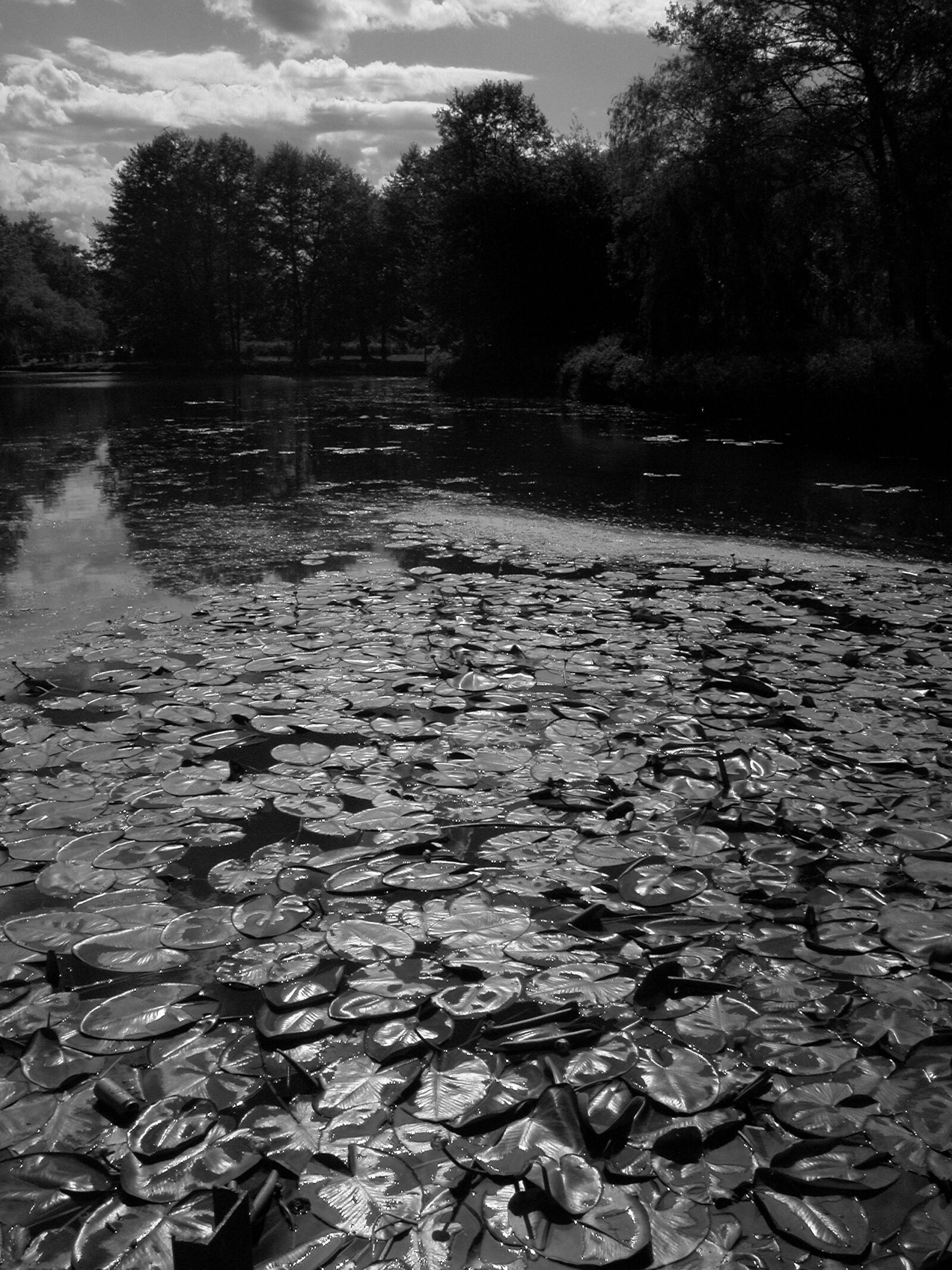 Nikon E5700 sample photo. Nature, water, pond photography