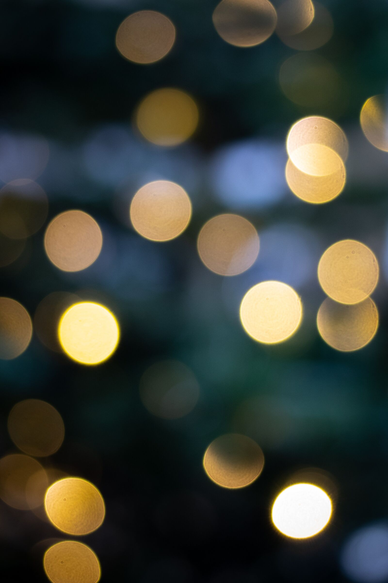 Canon EOS 700D (EOS Rebel T5i / EOS Kiss X7i) + Canon EF 40mm F2.8 STM sample photo. Bokeh, confetti, celebration photography