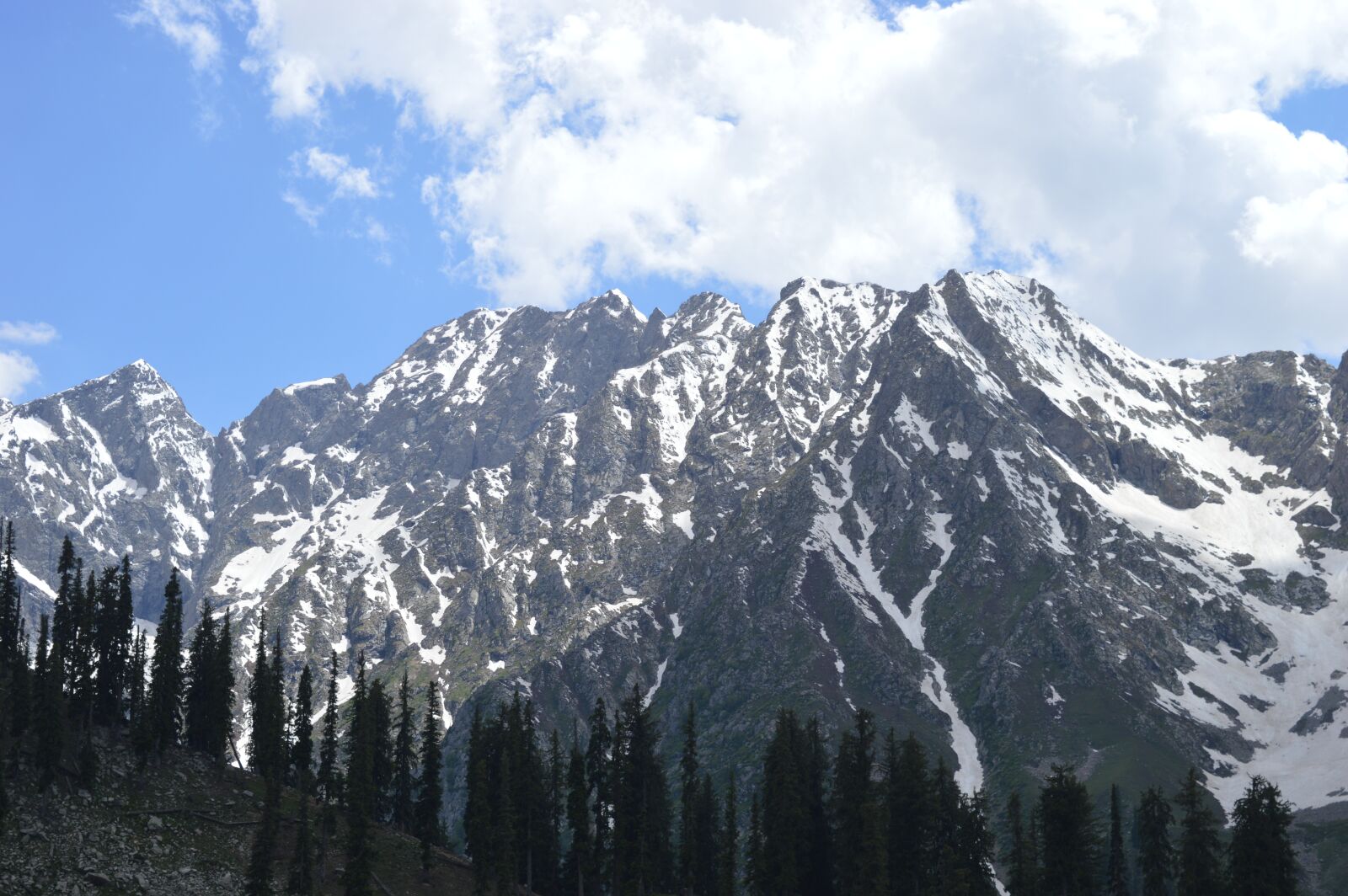Nikon D3200 sample photo. Mountains, alps, conifers photography
