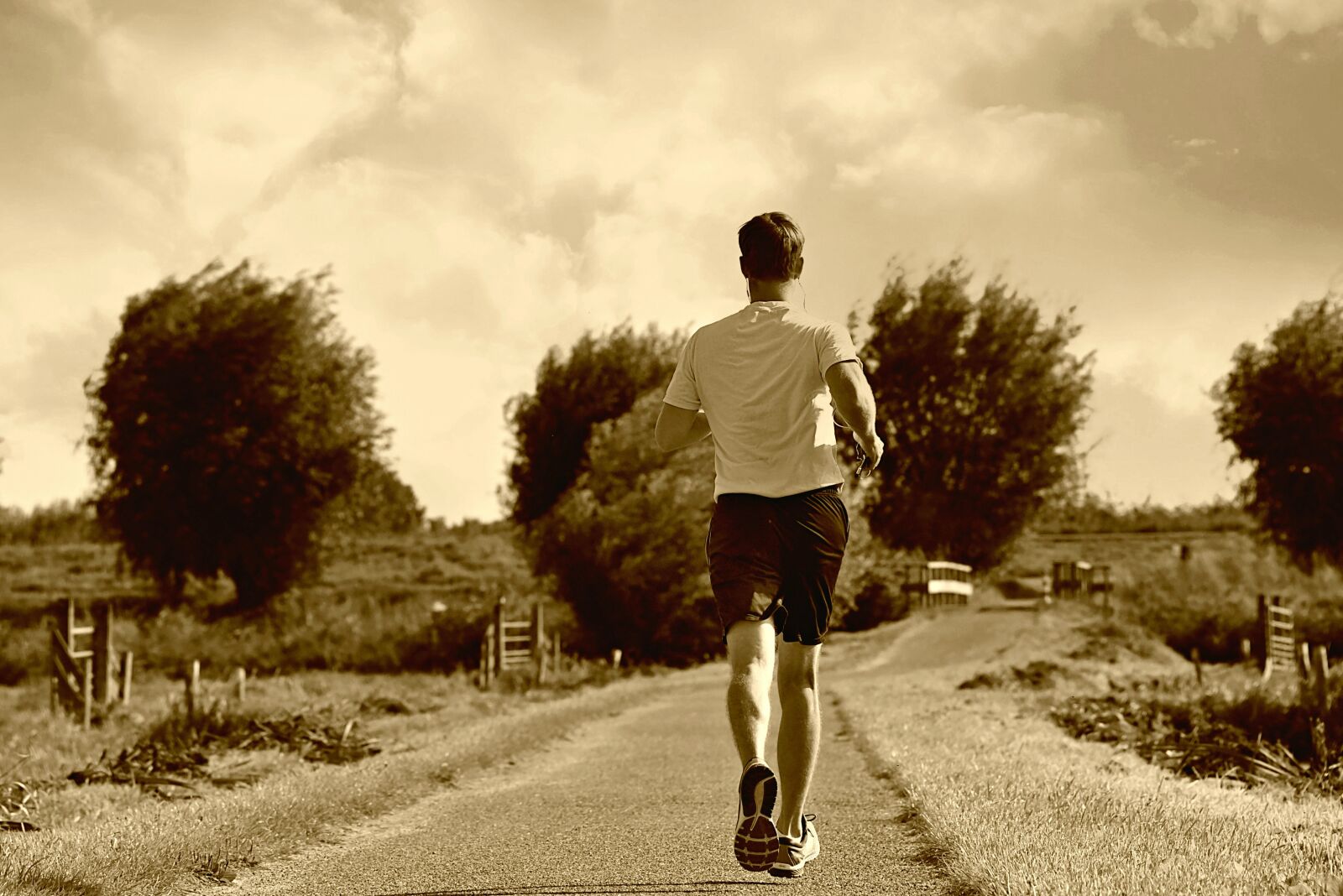 Nikon D750 sample photo. Man, runner, training photography