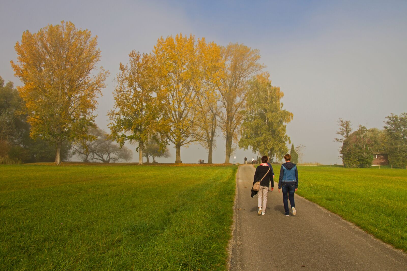 Canon EOS 7D sample photo. Autumn day, autumn morning photography