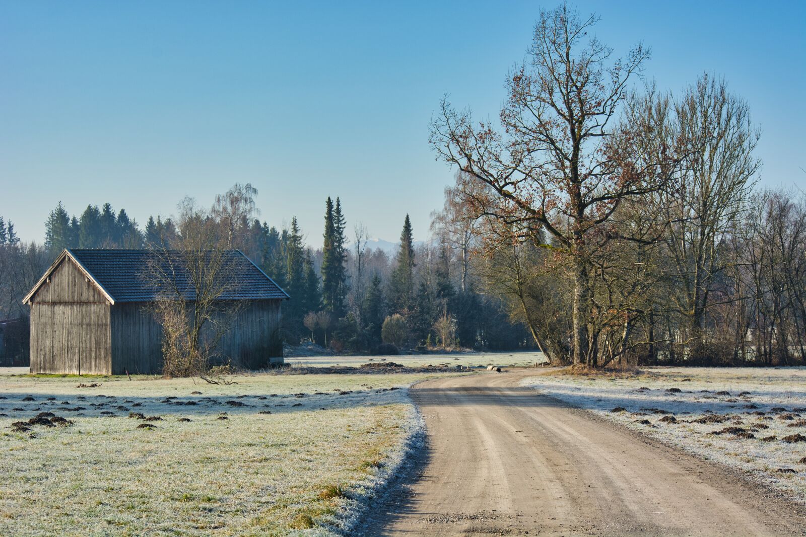Nikon D7100 sample photo. Autumn, frost, away photography
