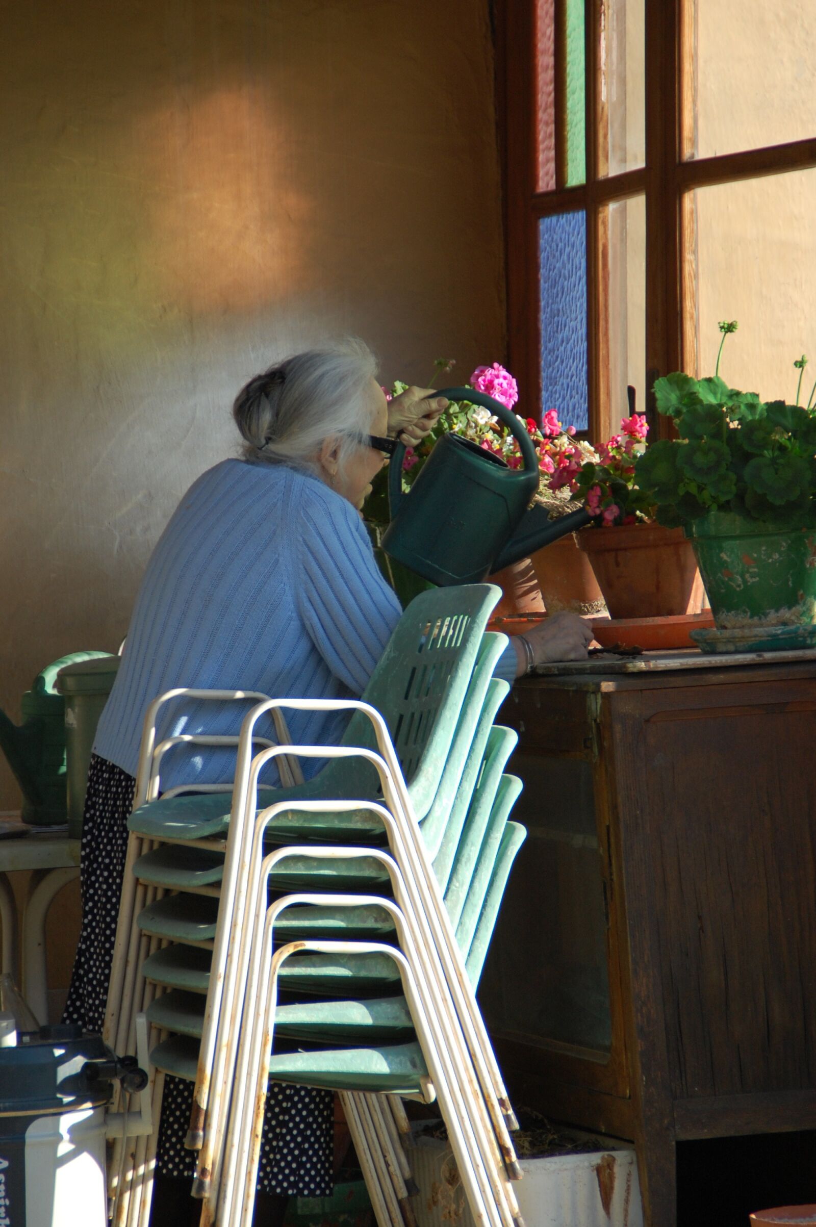 Nikon D40 sample photo. Life, cycle, watering photography