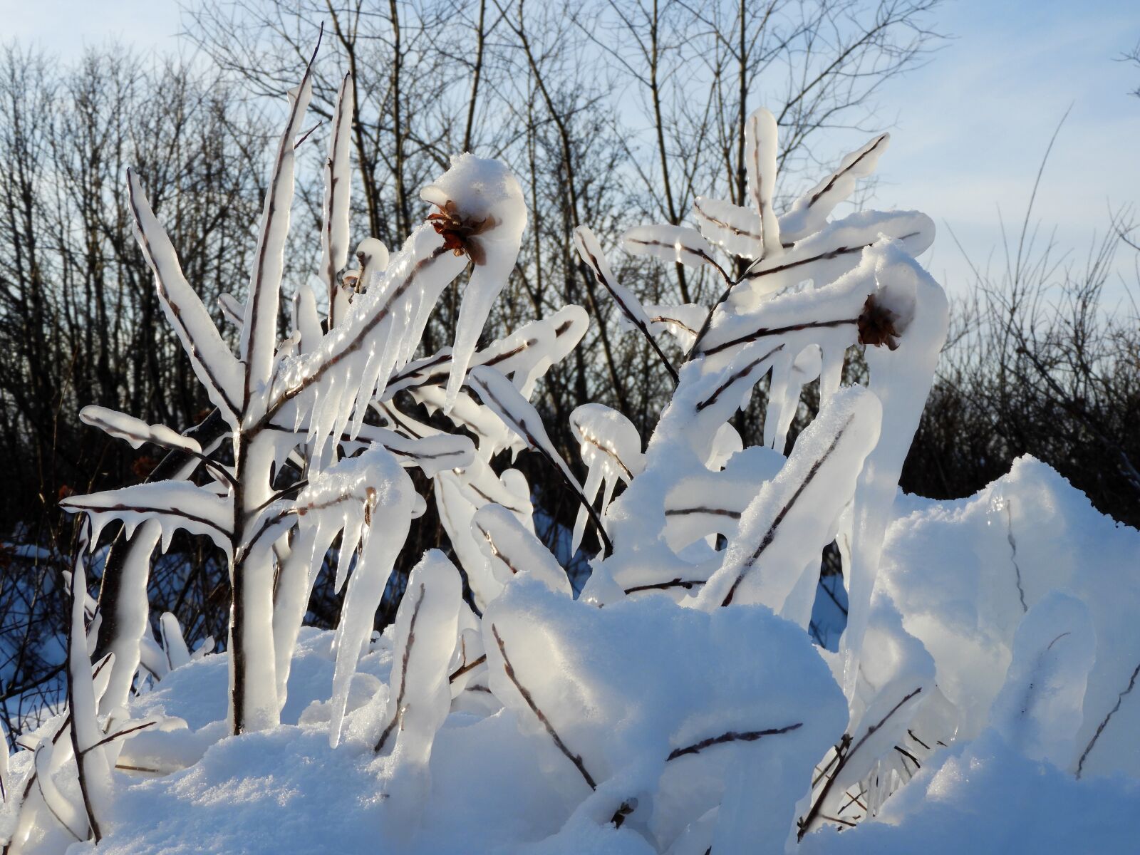 Nikon Coolpix B700 sample photo. Kamchatka, winter, snow photography