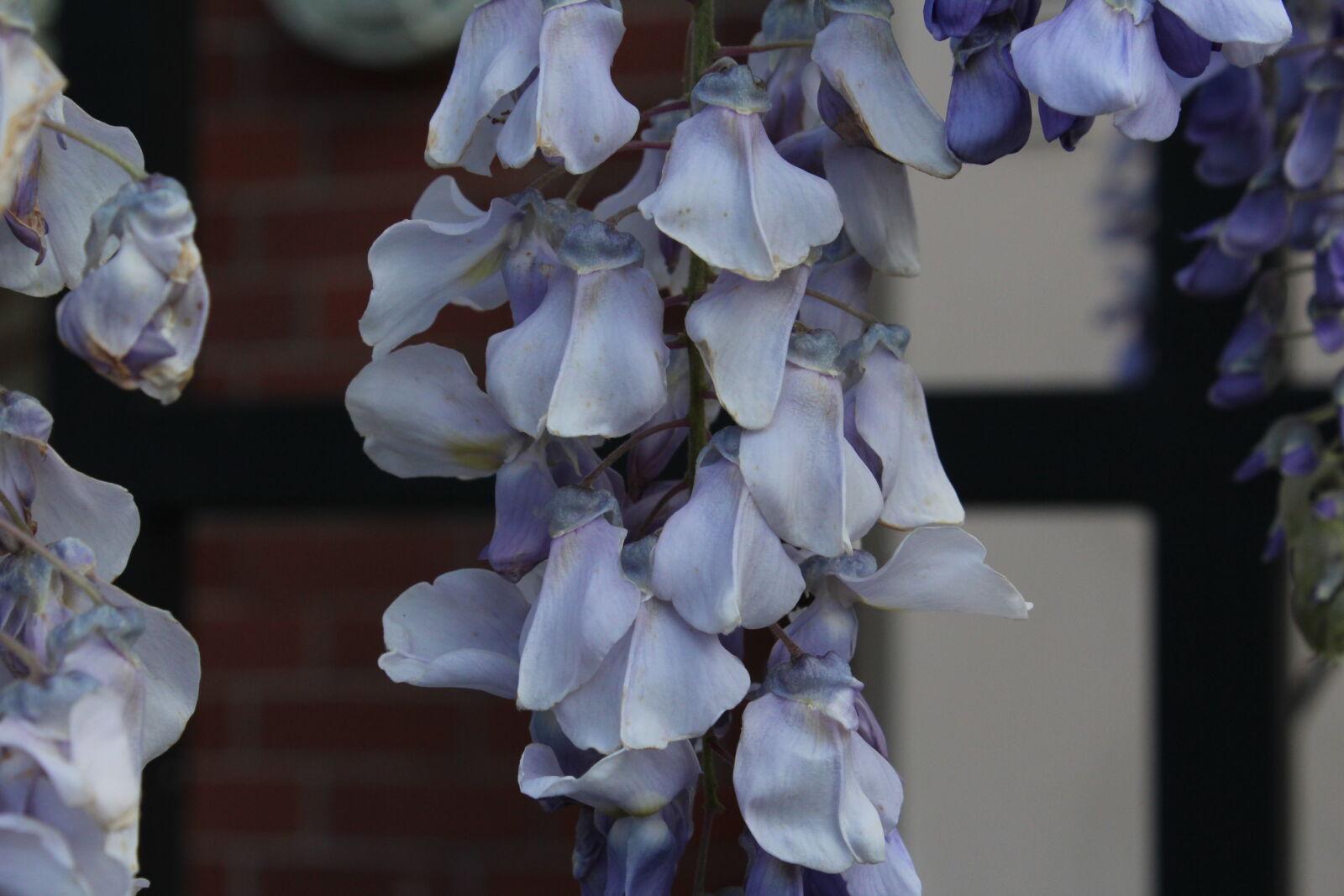 Canon EOS 1200D (EOS Rebel T5 / EOS Kiss X70 / EOS Hi) sample photo
