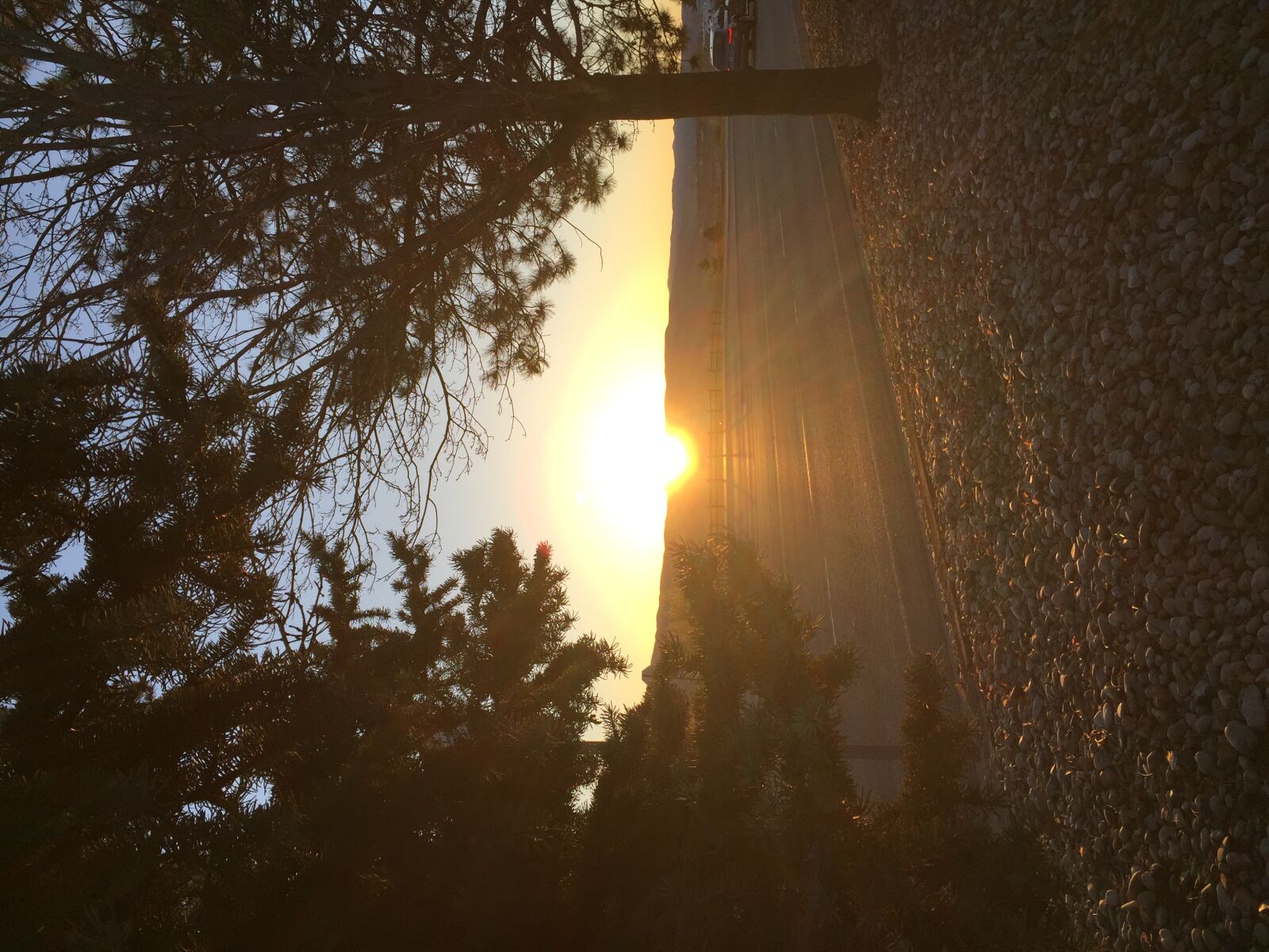 Apple iPhone 6 sample photo. Light, morning, morning, sun photography
