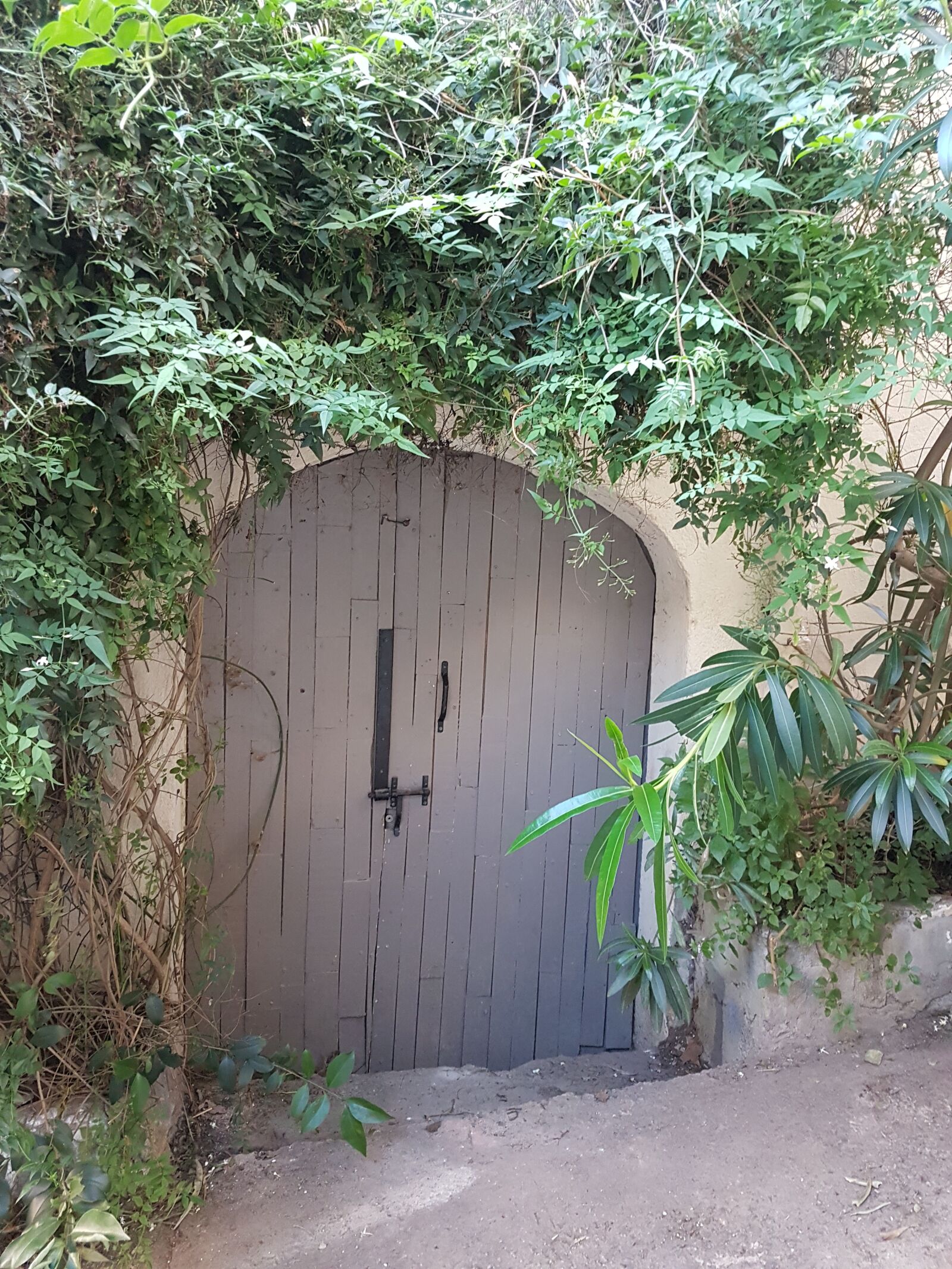 Samsung Galaxy S7 Edge sample photo. Door, nature, plants photography
