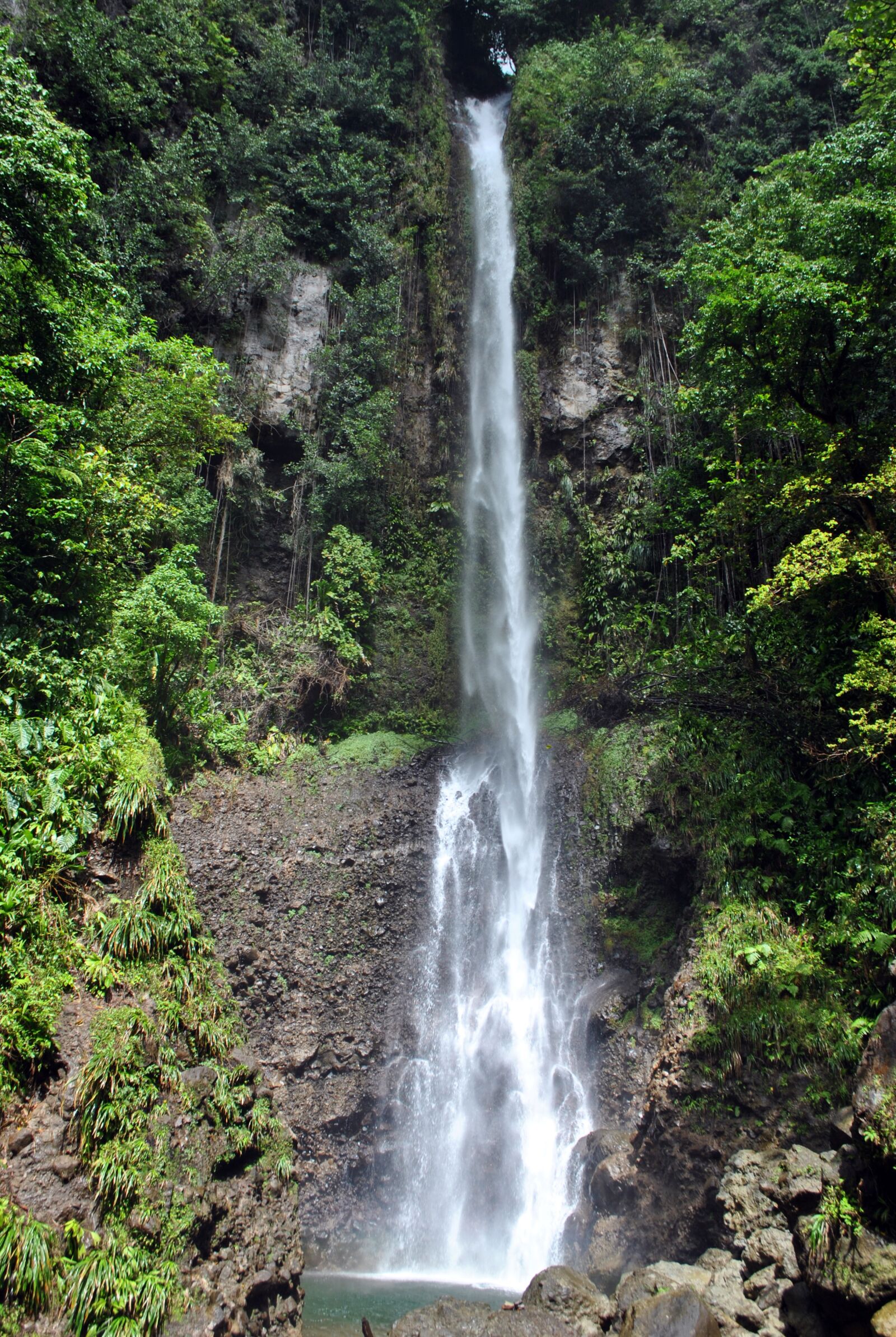 Nikon D3000 sample photo. Dominica, waterfall, rainforest photography