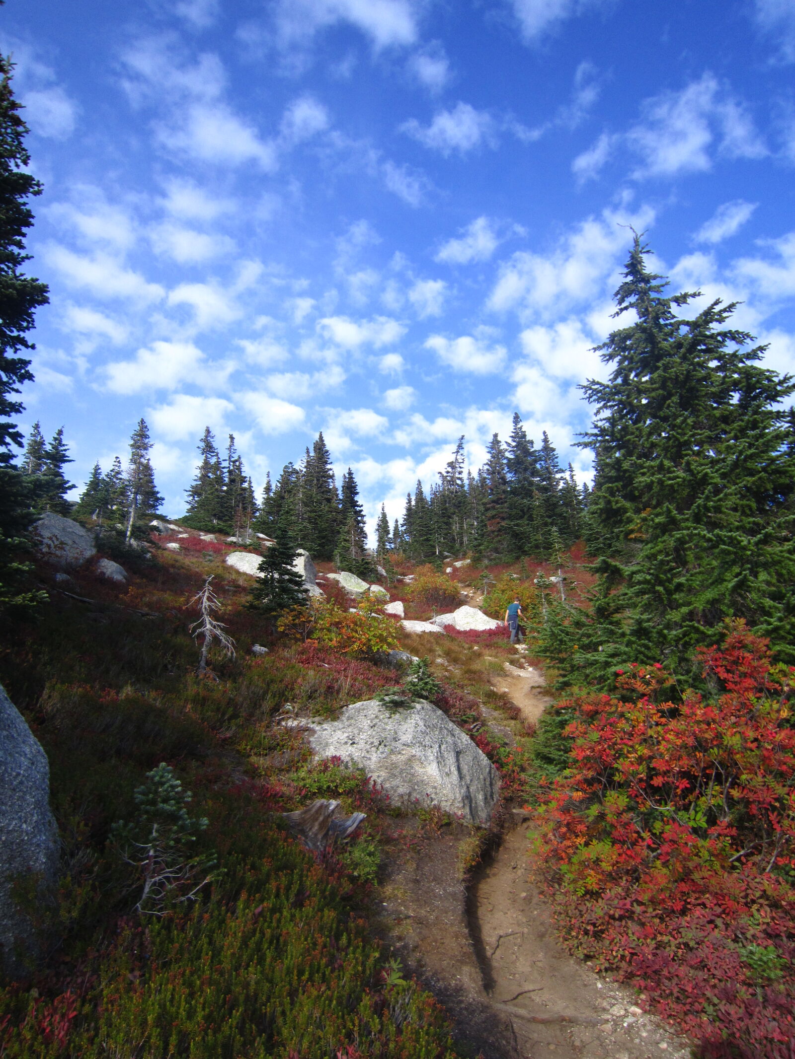 Canon PowerShot SD3500 IS (IXUS 210 / IXY 10S) sample photo. Gorgeous fall colors photography