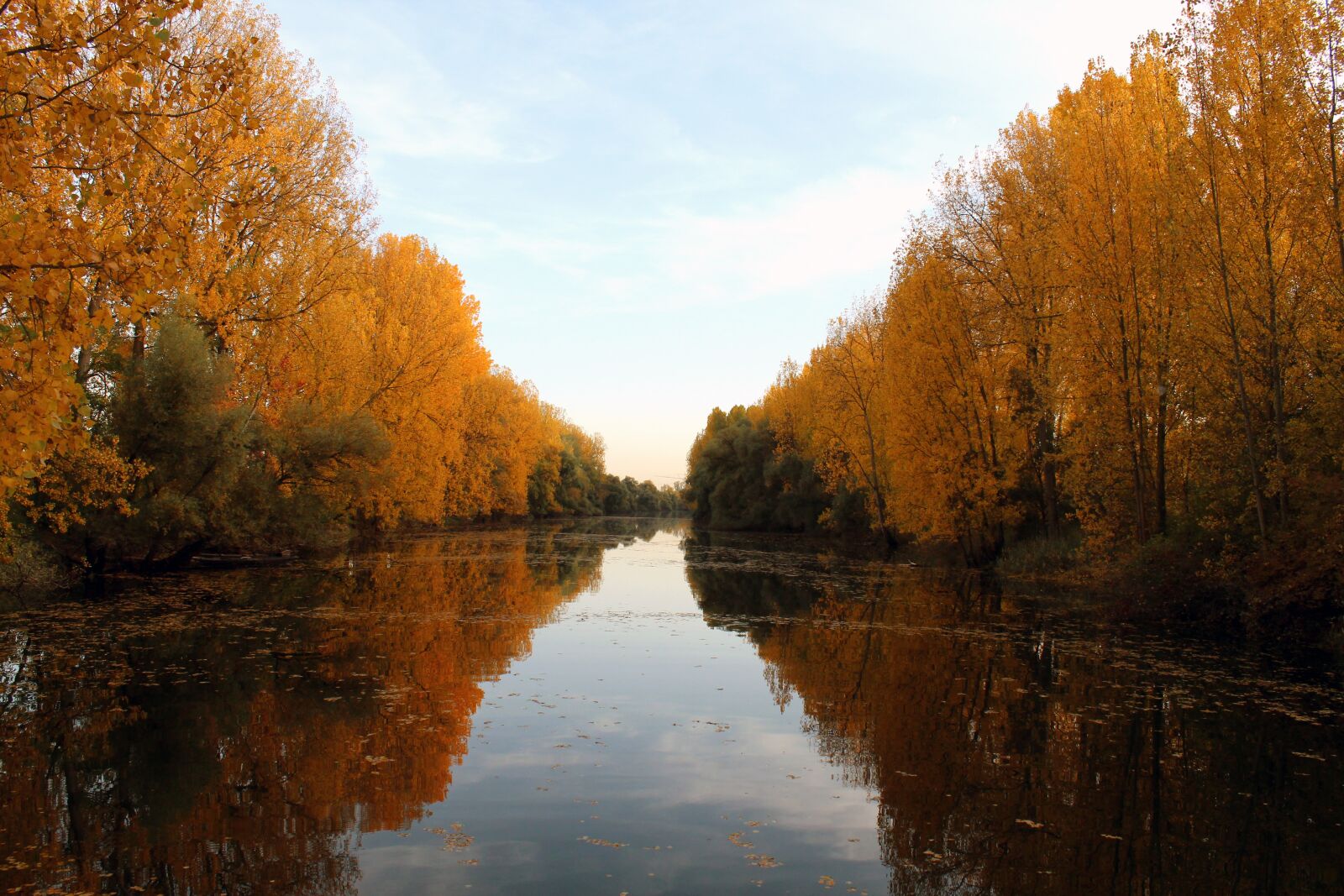 Canon EOS 600D (Rebel EOS T3i / EOS Kiss X5) sample photo. River, trees, reflection photography