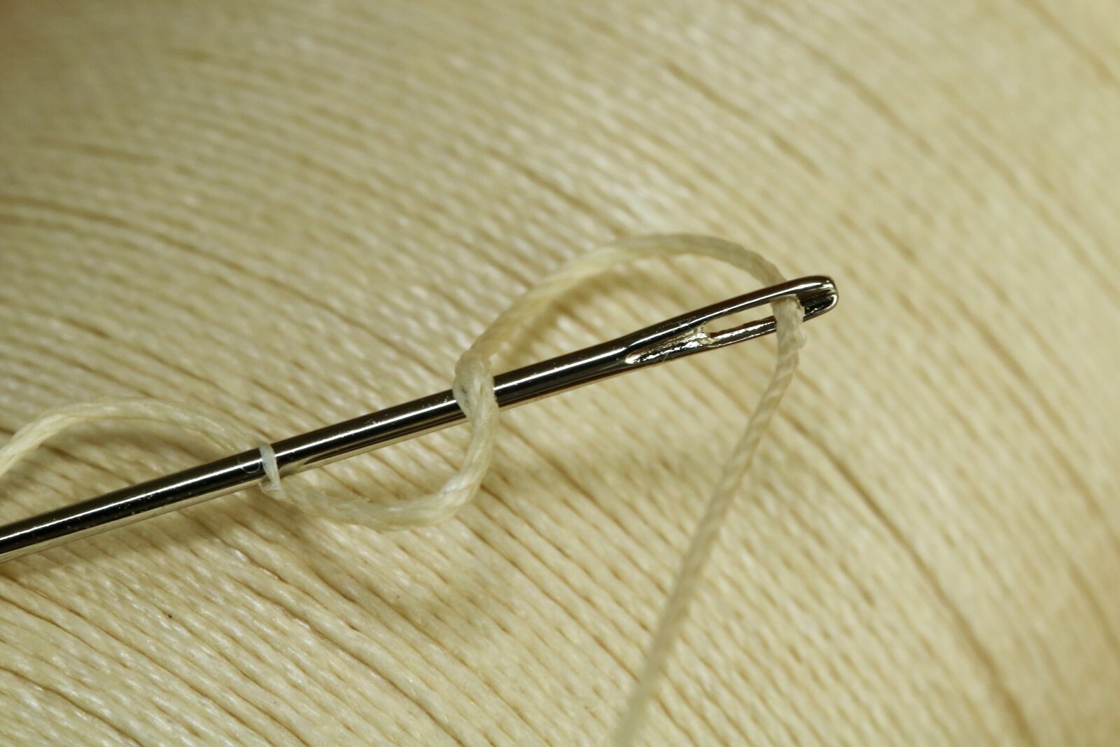 Canon EOS 750D (EOS Rebel T6i / EOS Kiss X8i) sample photo. Leather craft, needle, thread photography