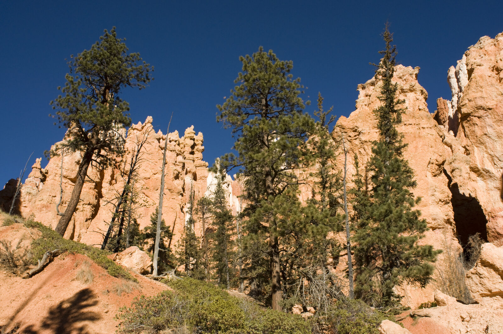 Nikon D90 sample photo. Blue, bryce, canyon, color photography