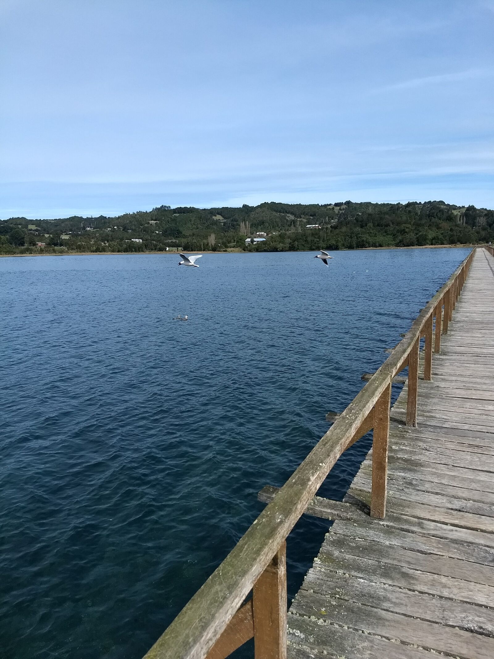 Motorola Moto G (5) Plus sample photo. Bridges, chile, think photography
