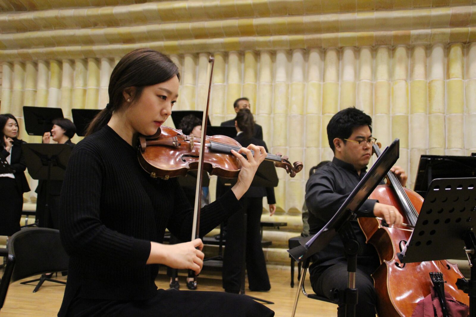 Canon EOS 100D (EOS Rebel SL1 / EOS Kiss X7) sample photo. Chamber, concert, stringed instruments photography