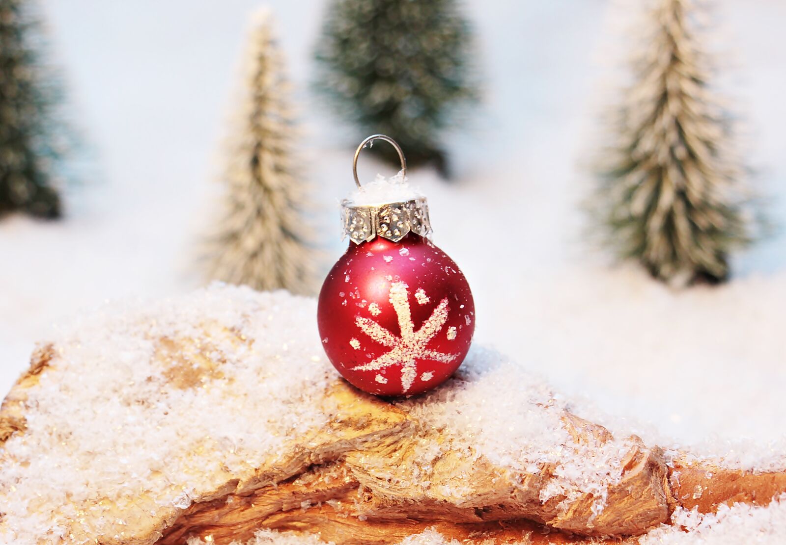 Canon EOS 550D (EOS Rebel T2i / EOS Kiss X4) sample photo. Christmas bauble, christmas ornament photography