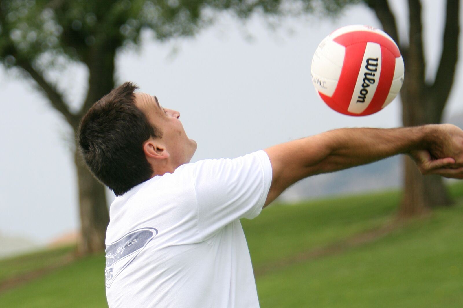 Canon EOS-1D Mark II N sample photo. Volleyball, sport, hit photography