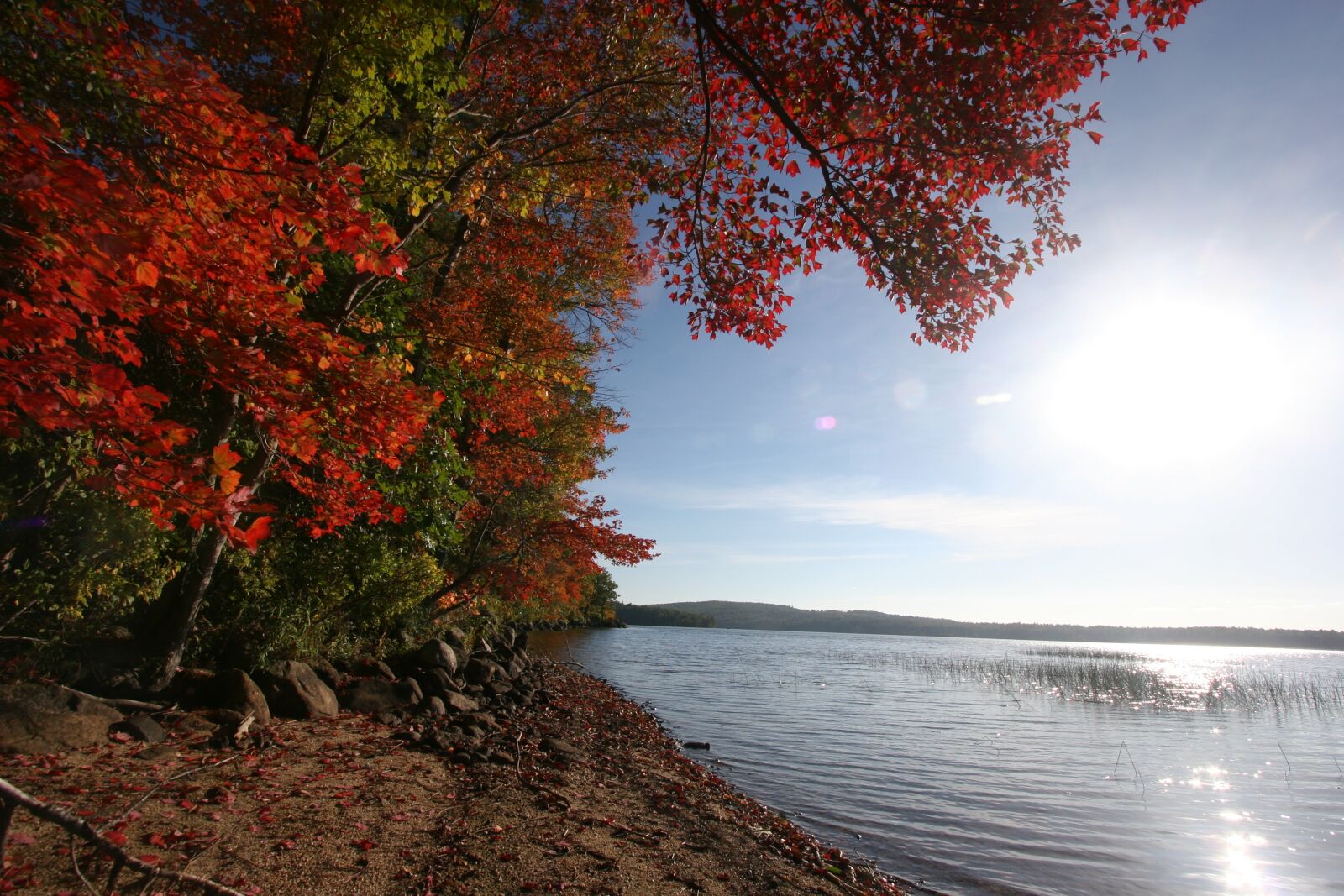 Canon EOS 20D sample photo. Massabesic lake, fall foliage photography