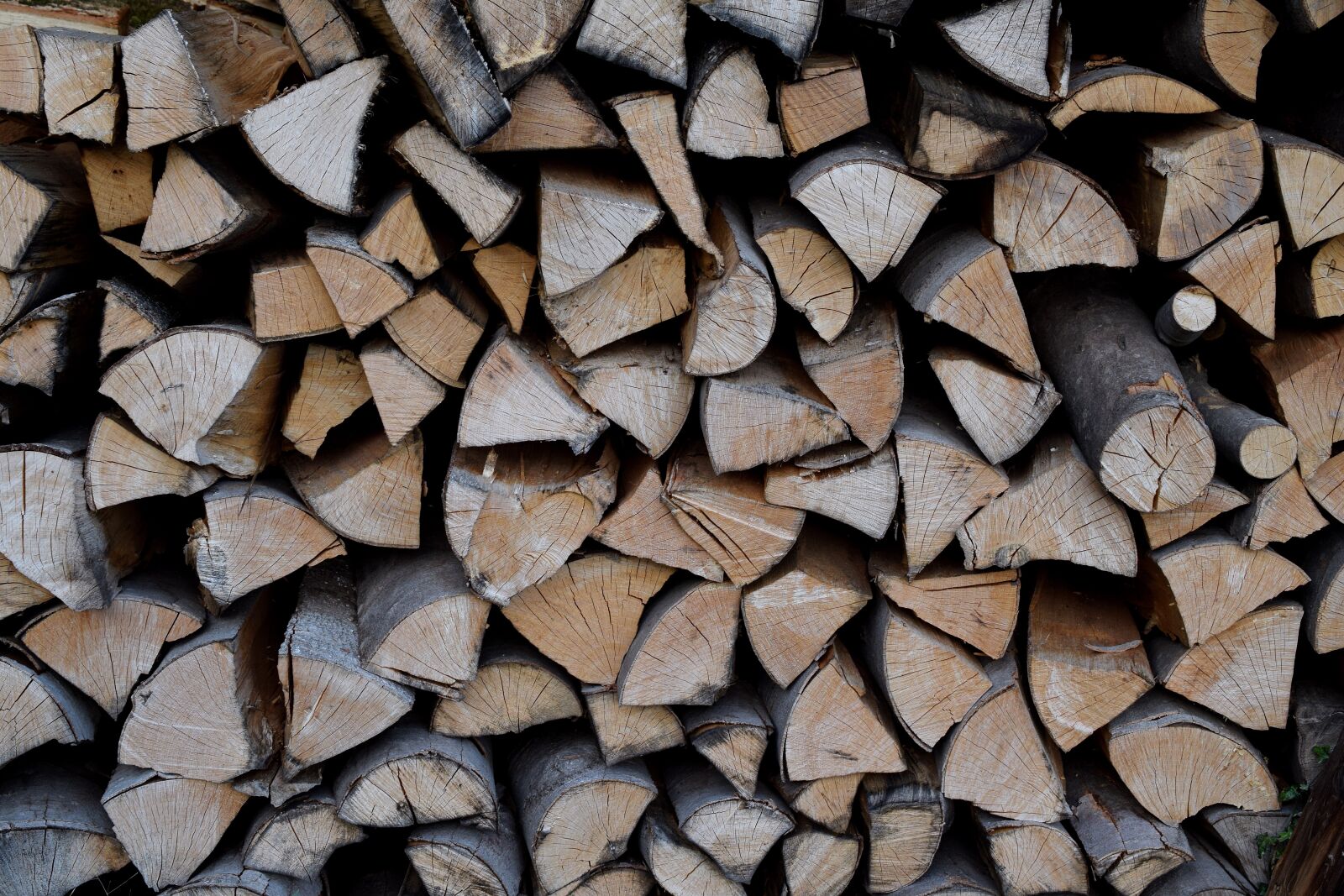 Nikon D5300 sample photo. Wood pile, firewood, wood photography