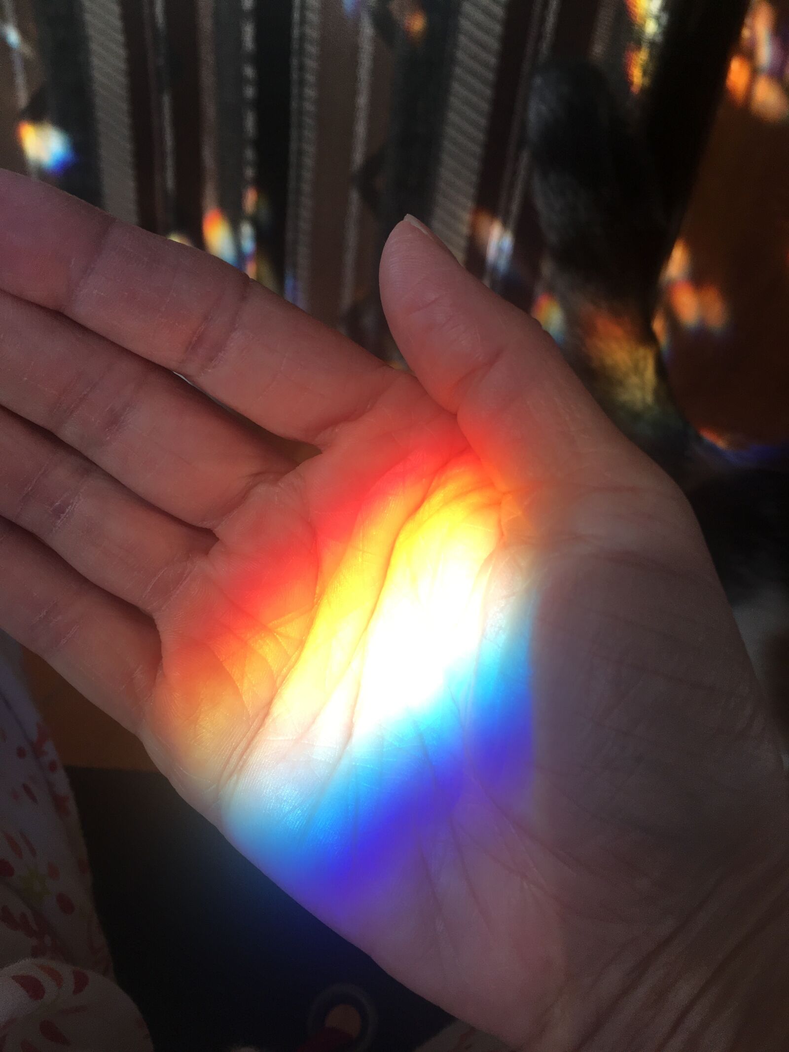 Apple iPhone 6s sample photo. Rainbow, catch a rainbow photography