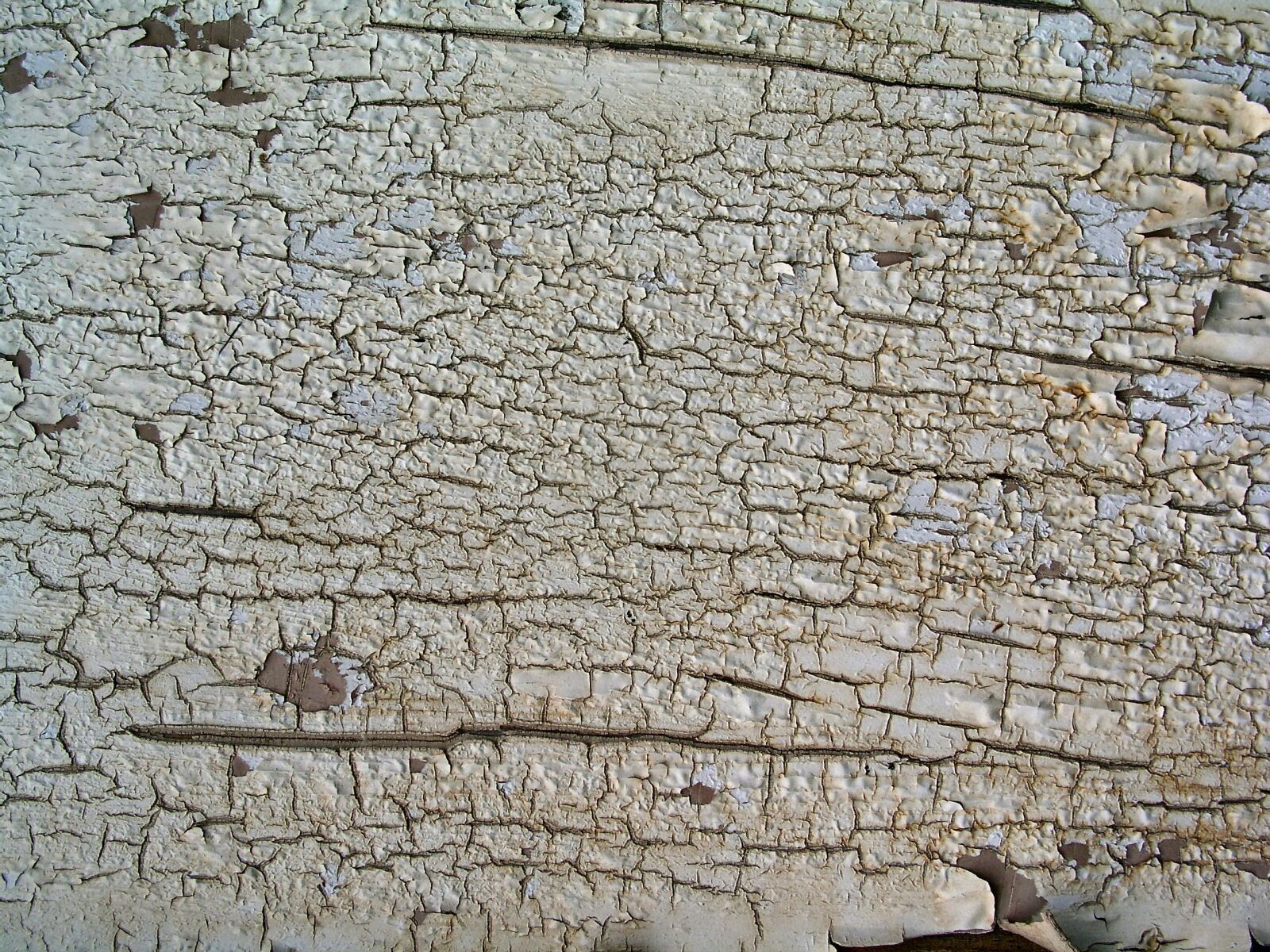 Olympus C5050Z sample photo. Background, texture, wood paint photography
