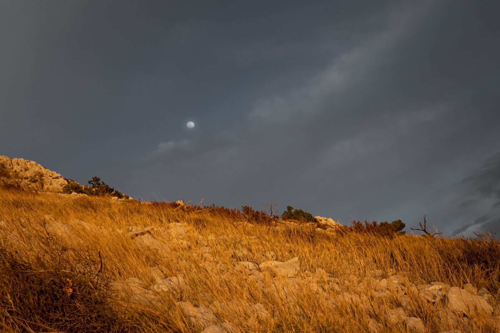 Canon EF 16-35mm F2.8L III USM sample photo. Landscape, moon, sky photography