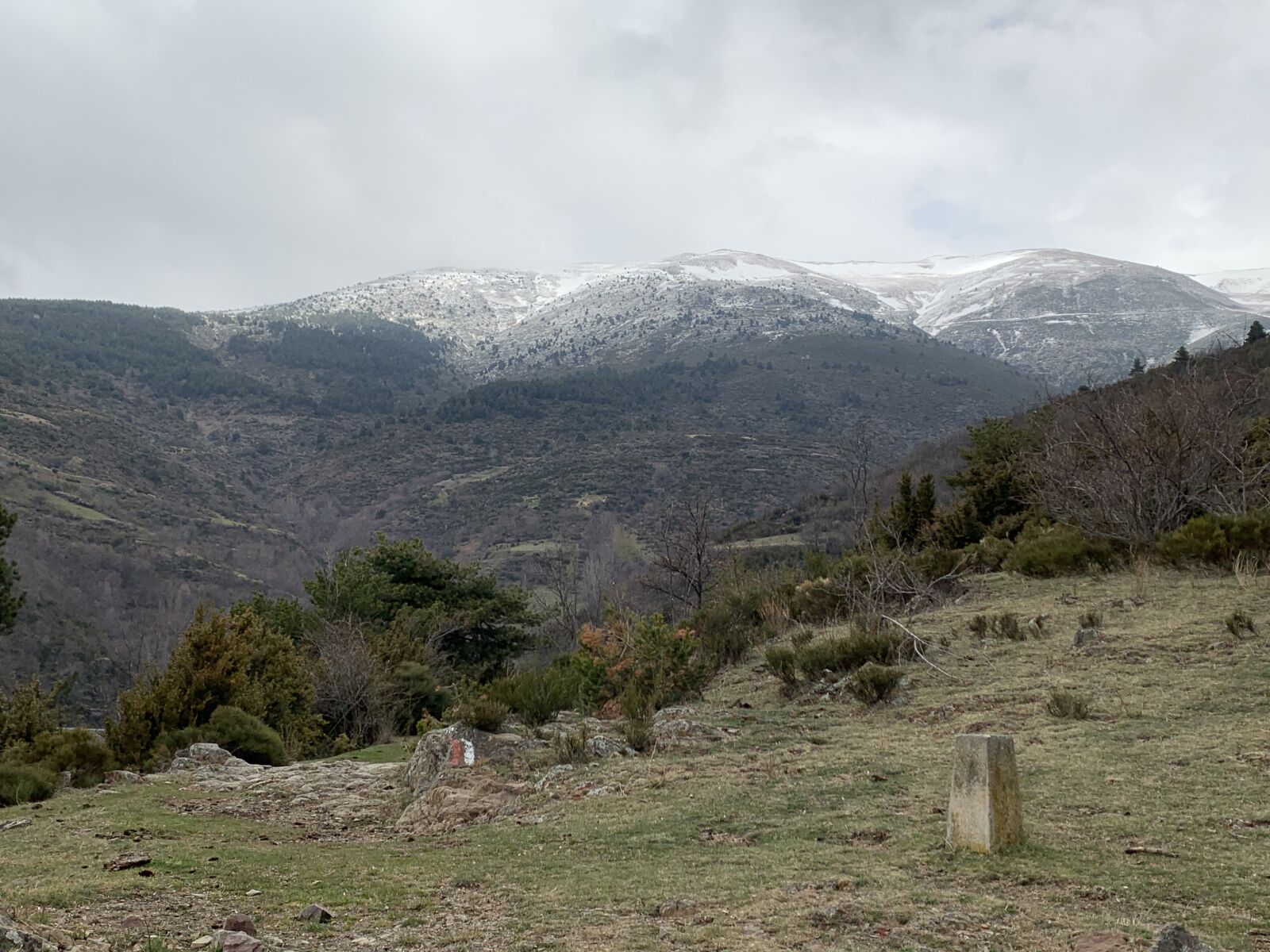 iPhone XS Max back dual camera 4.25mm f/1.8 sample photo. Mountains, green, snow photography