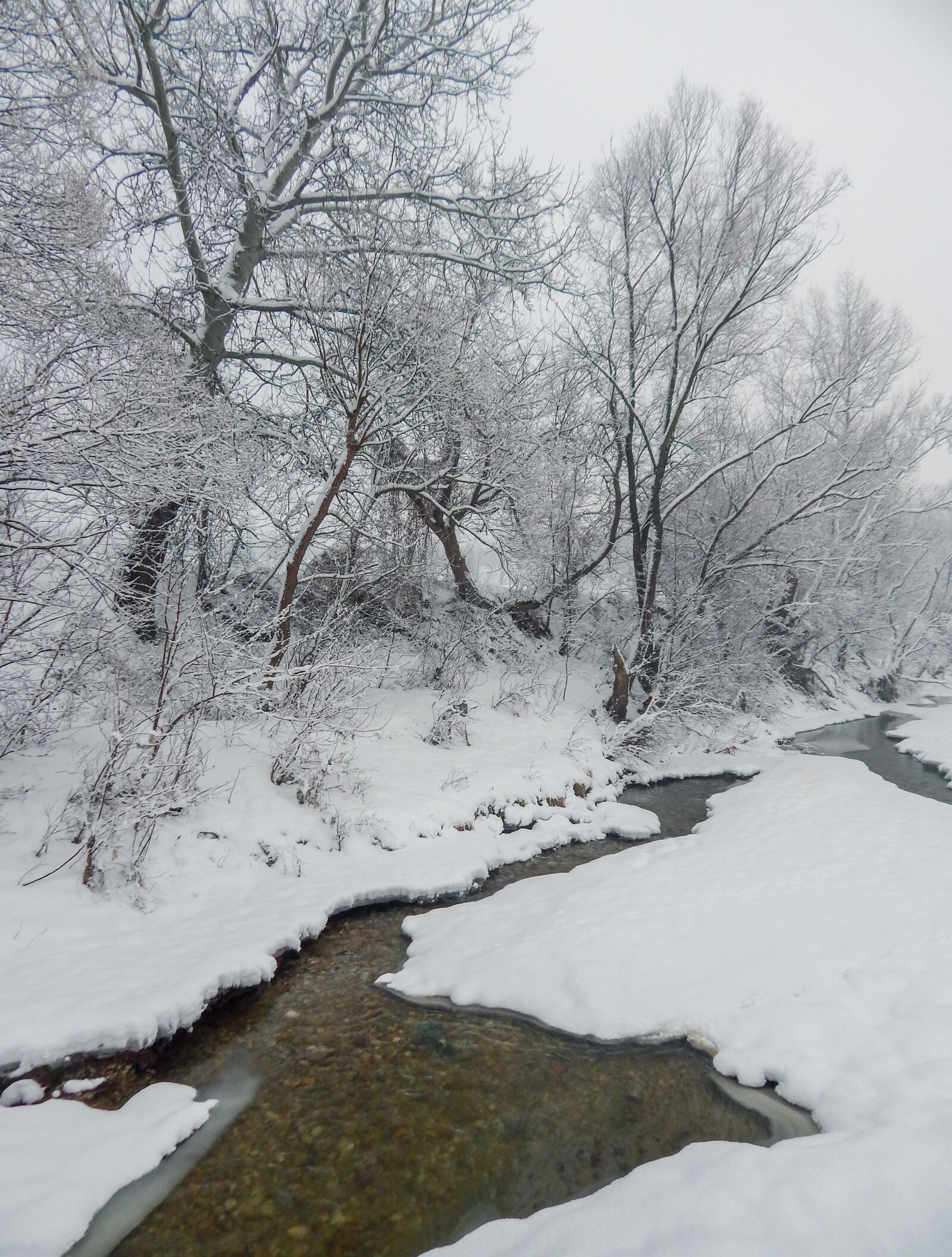 Nikon Coolpix L820 sample photo. Winter, snow, winter landscape photography