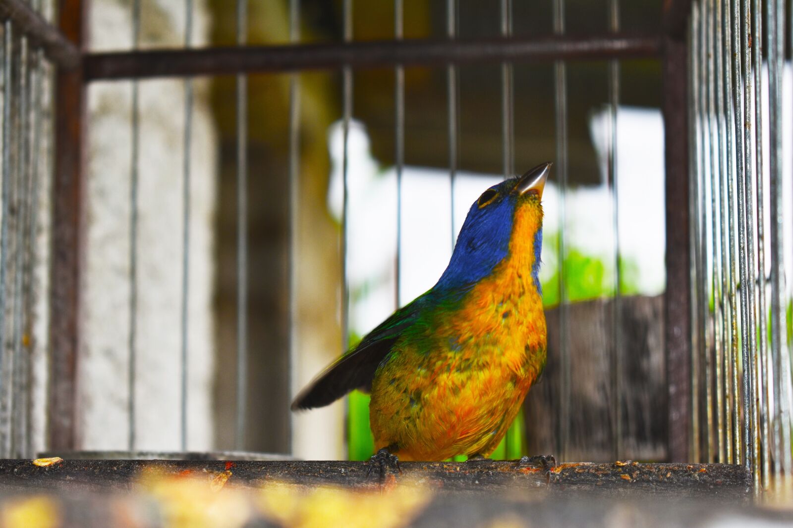 Nikon D3400 sample photo. Nature, ave, color photography