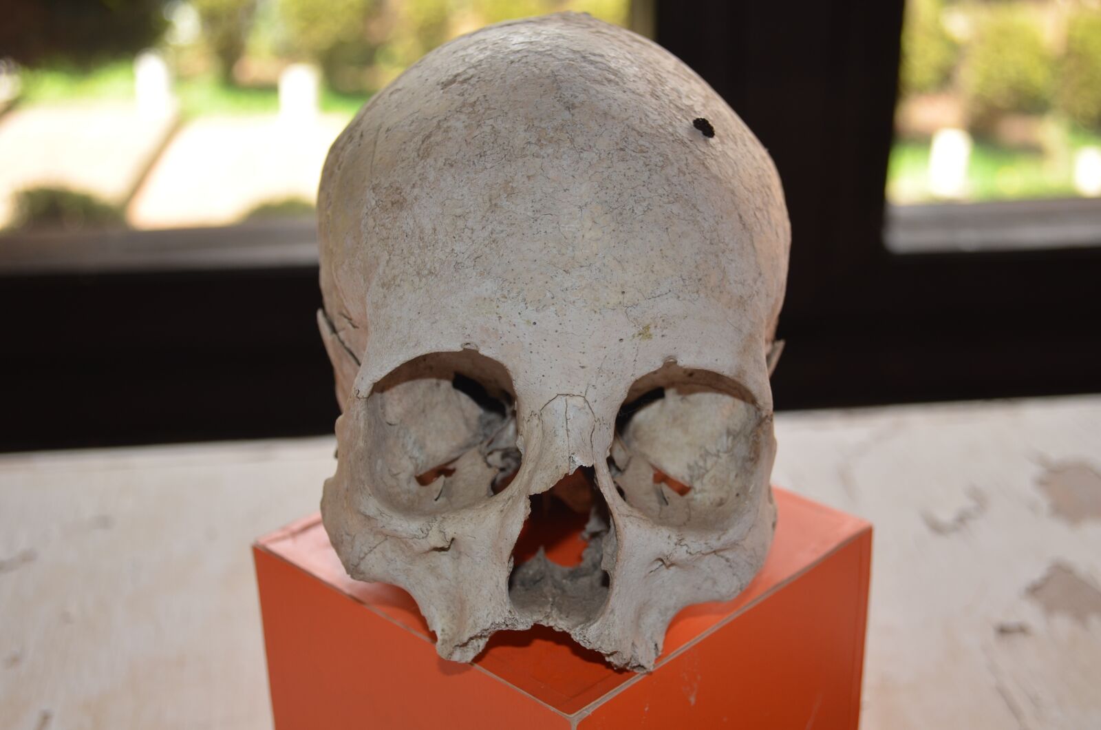 Nikon D5100 sample photo. Skull, human remains, death photography