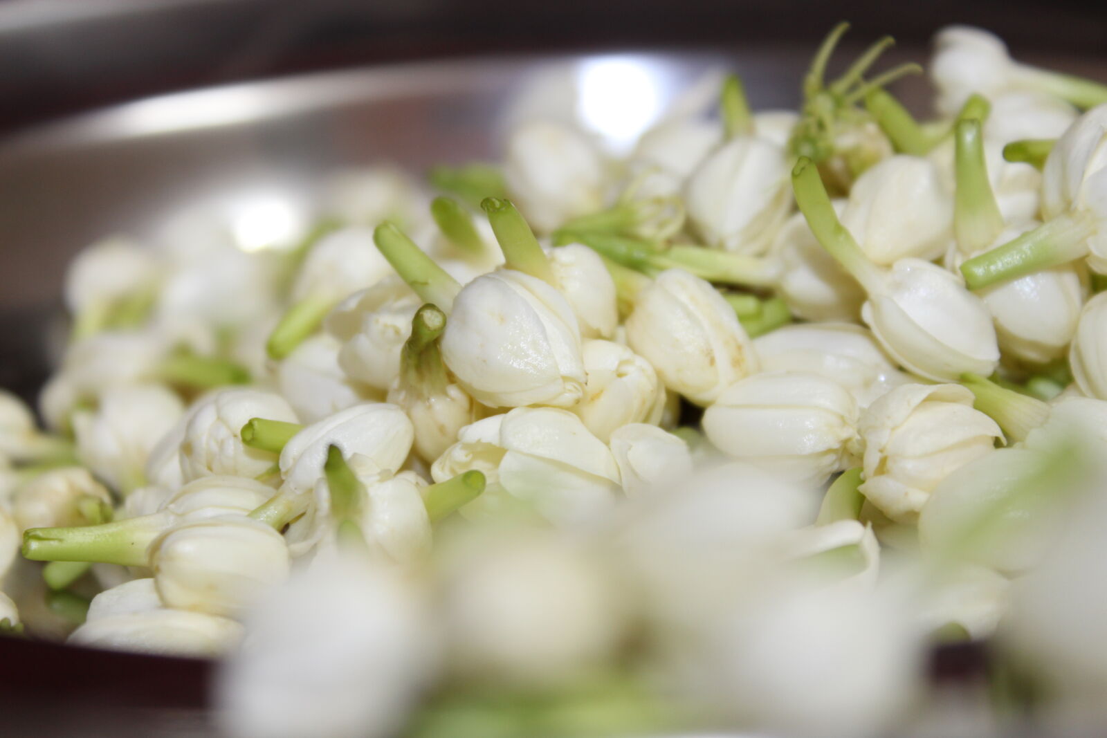 Canon EOS 700D (EOS Rebel T5i / EOS Kiss X7i) sample photo. Jasmine, malligai, poo photography