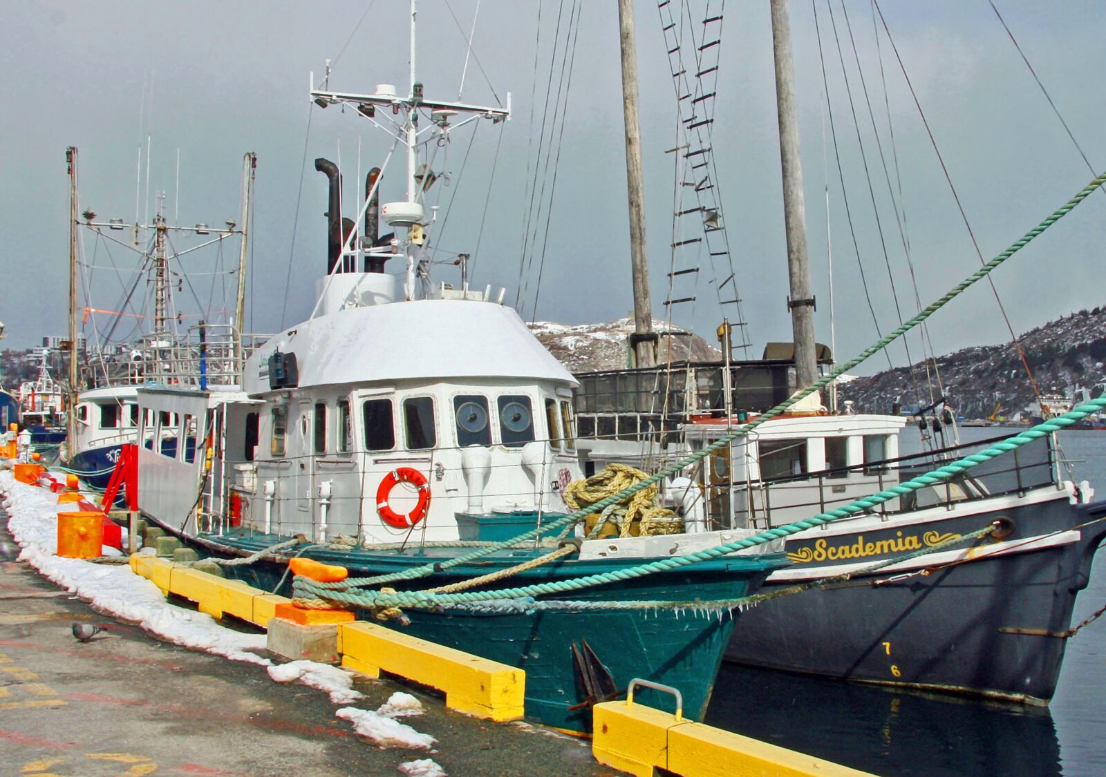 Canon EOS 40D sample photo. St, john's, newfoundland photography