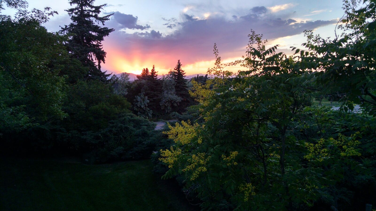 Motorola XT1080 sample photo. Sunset, trees, silhouette photography